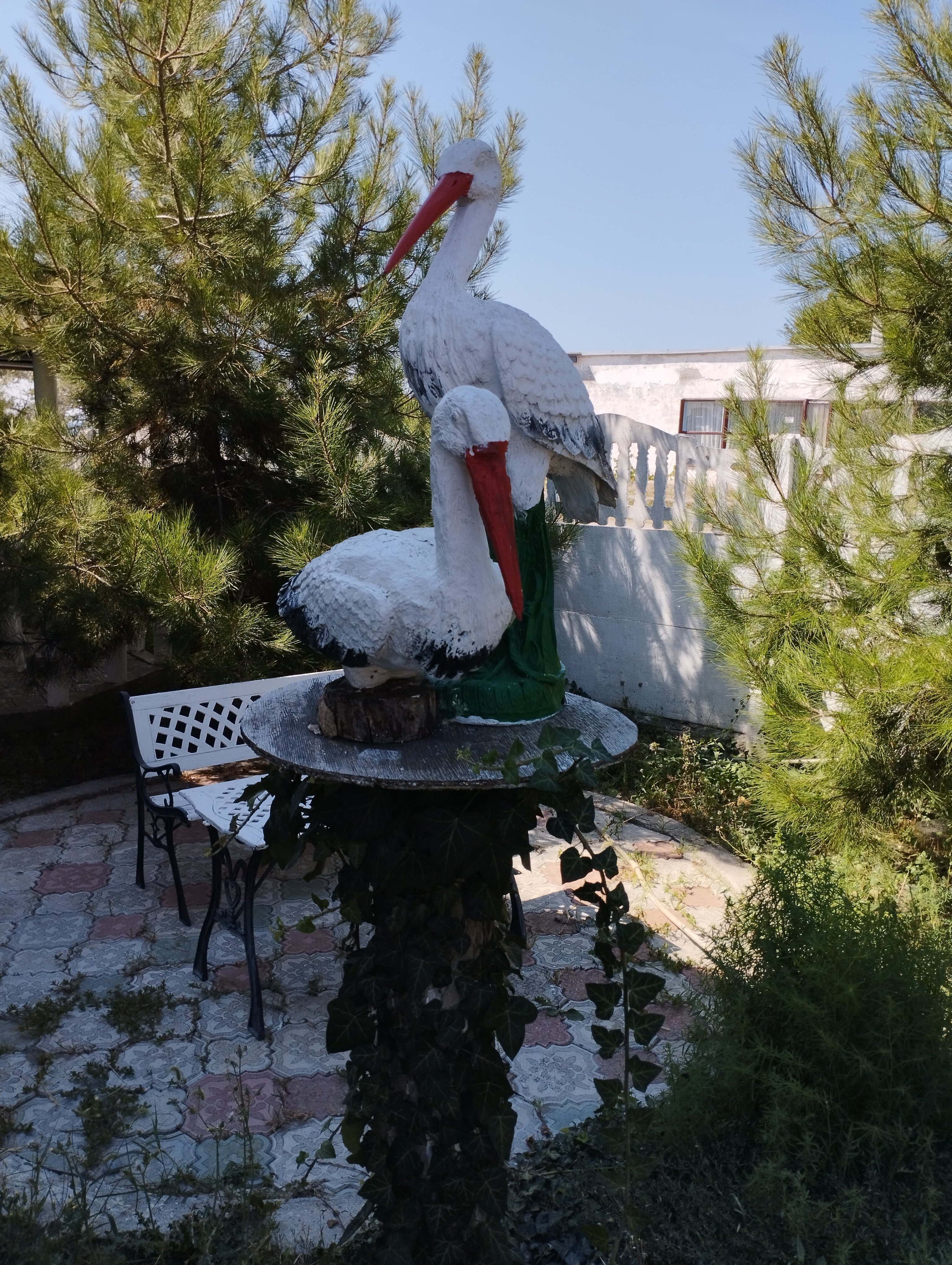 Фото Дружба