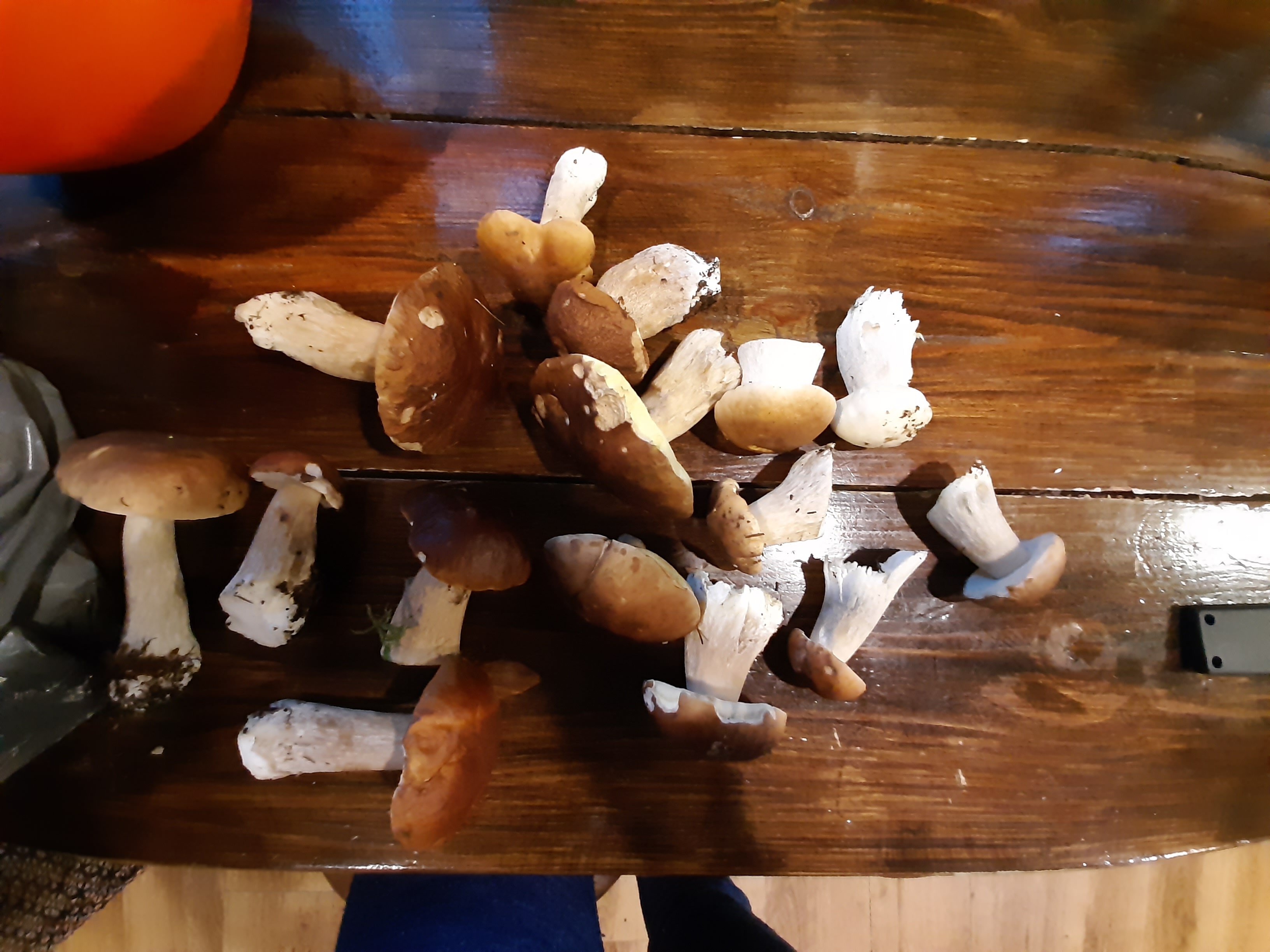 Фото Зима-Лето