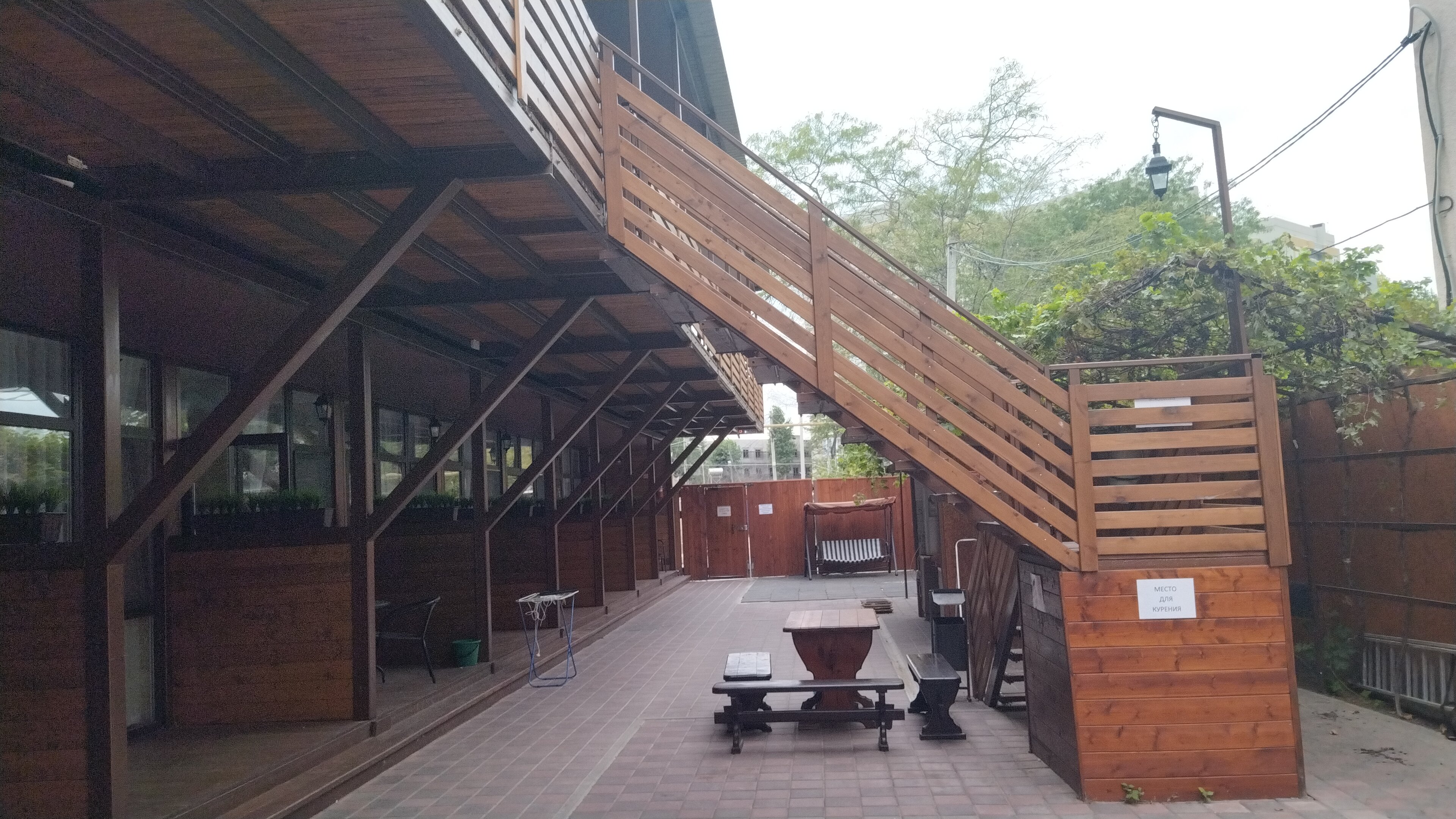 Фото Алая Роза