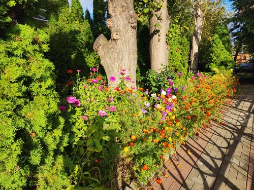 Гостиница Четыре короны в Дмитрове