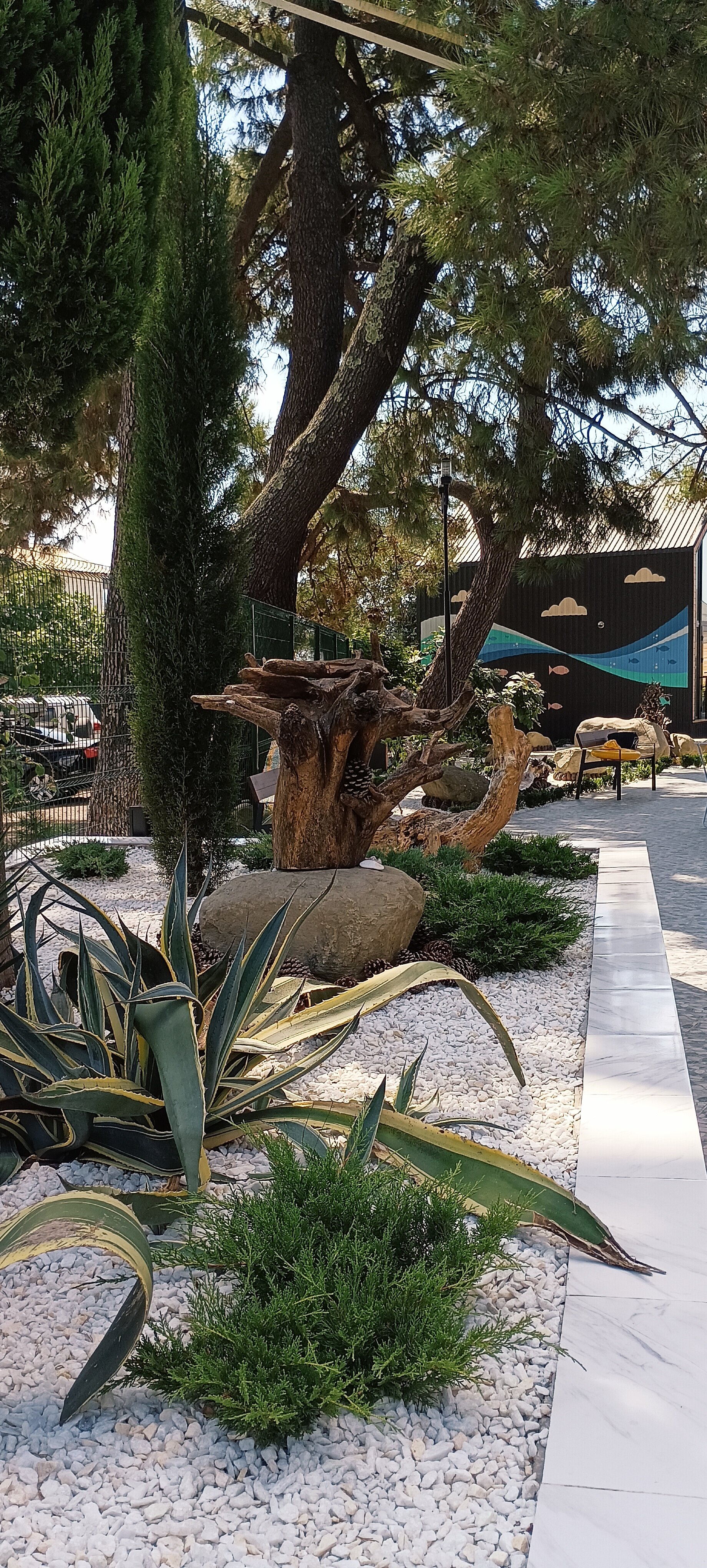 Фото На волне