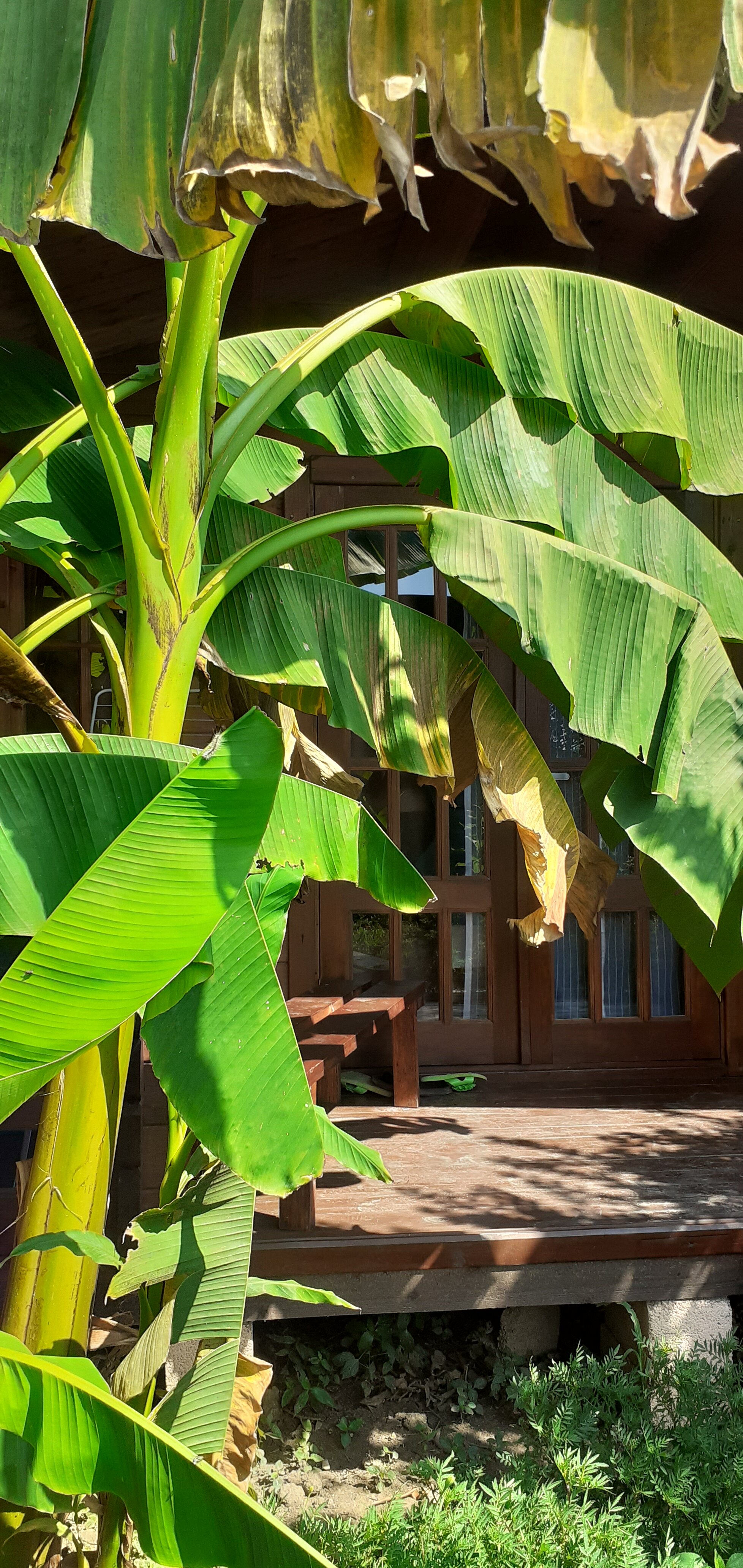 Фото Теремки