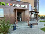 Vinlab (Yubileyny Avenue, 67), bebidas alcohólicas