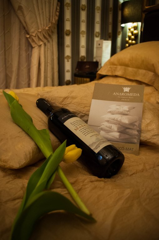 Фото Andromeda Hotel Thessaloniki