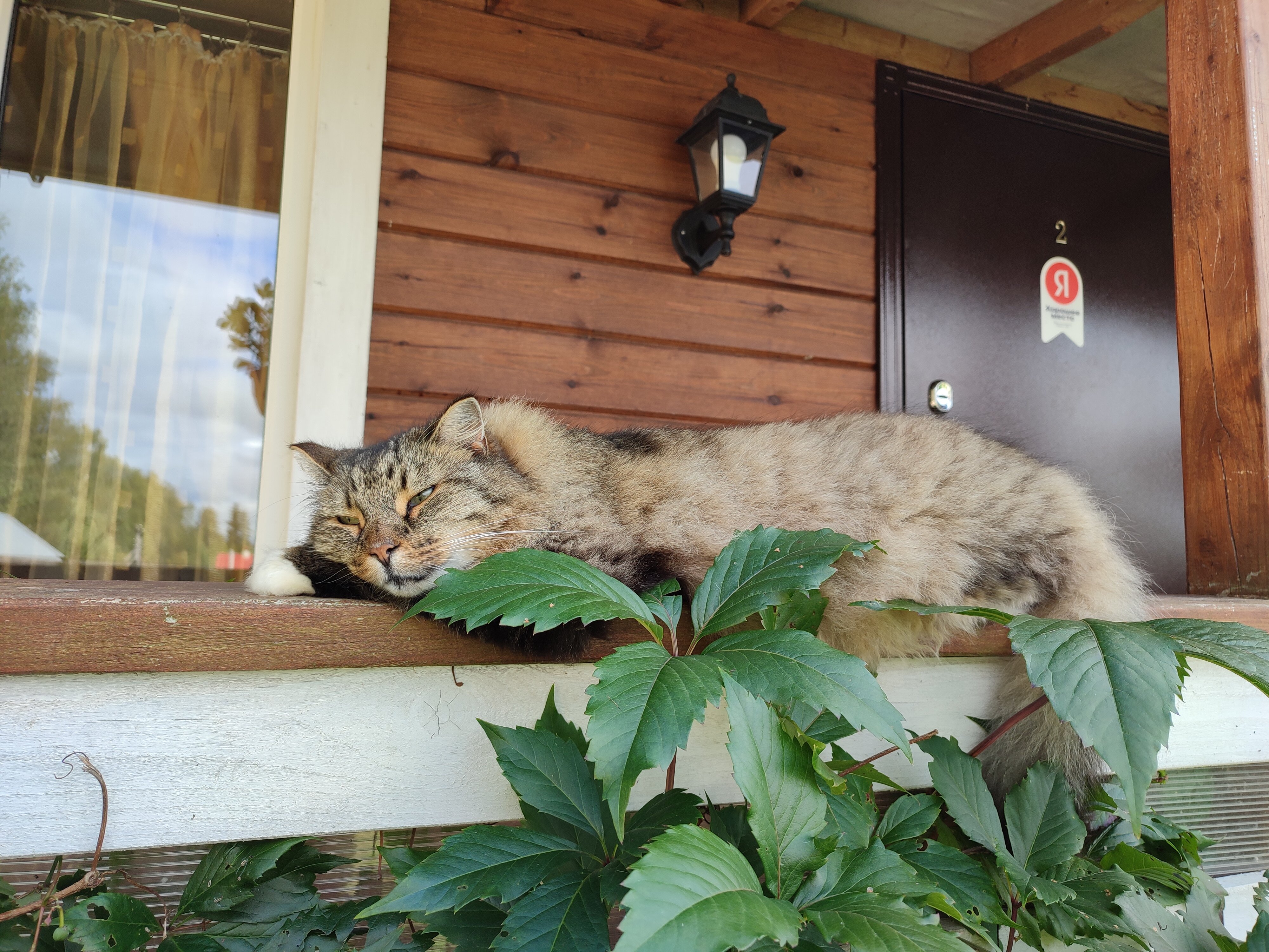 Фото Тихий уголок