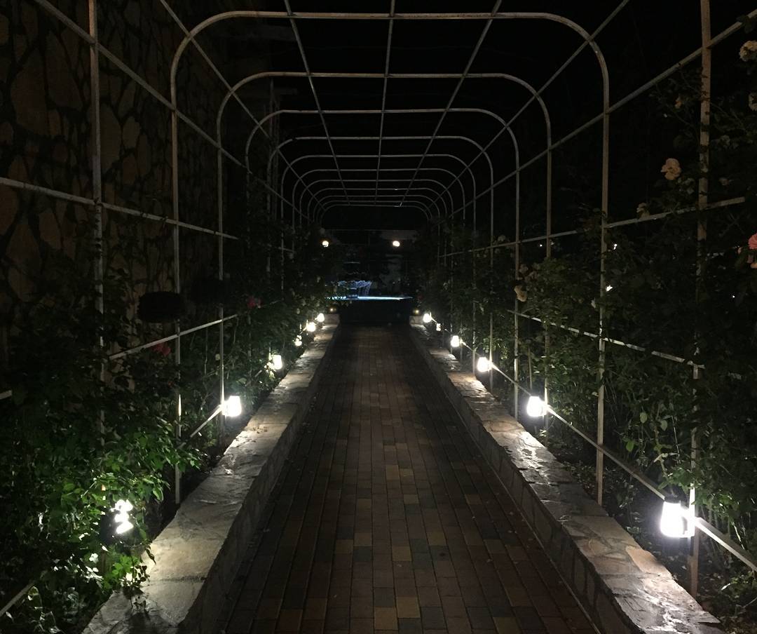 Фото Астория