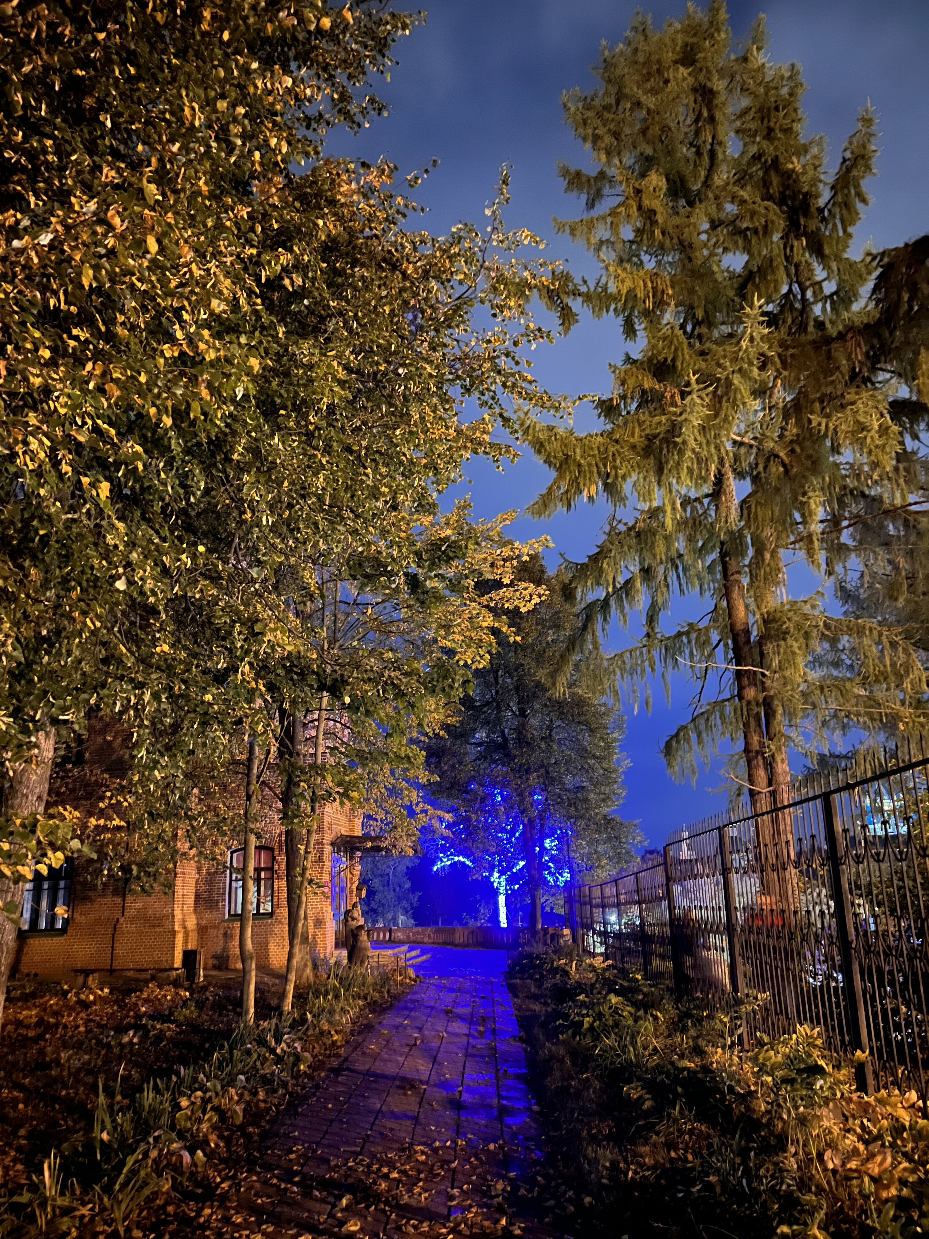 Фото Four Lions House