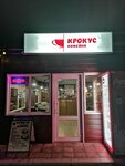 Крокус (ulitsa Kirova, 10) ، مقهى