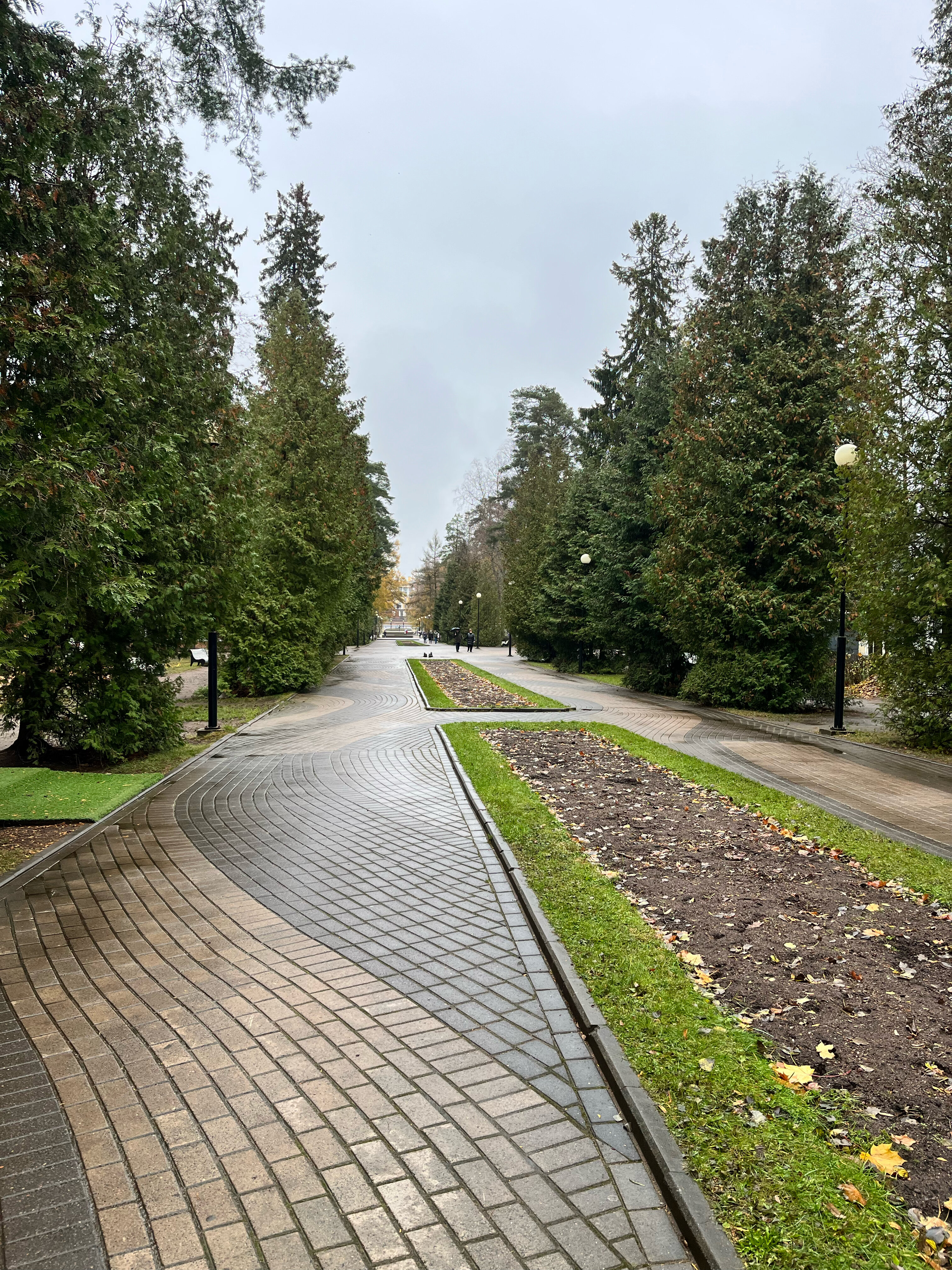 Фото Архитектура здоровья