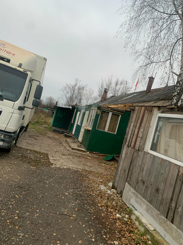 Лик спермы из хозяйка киска