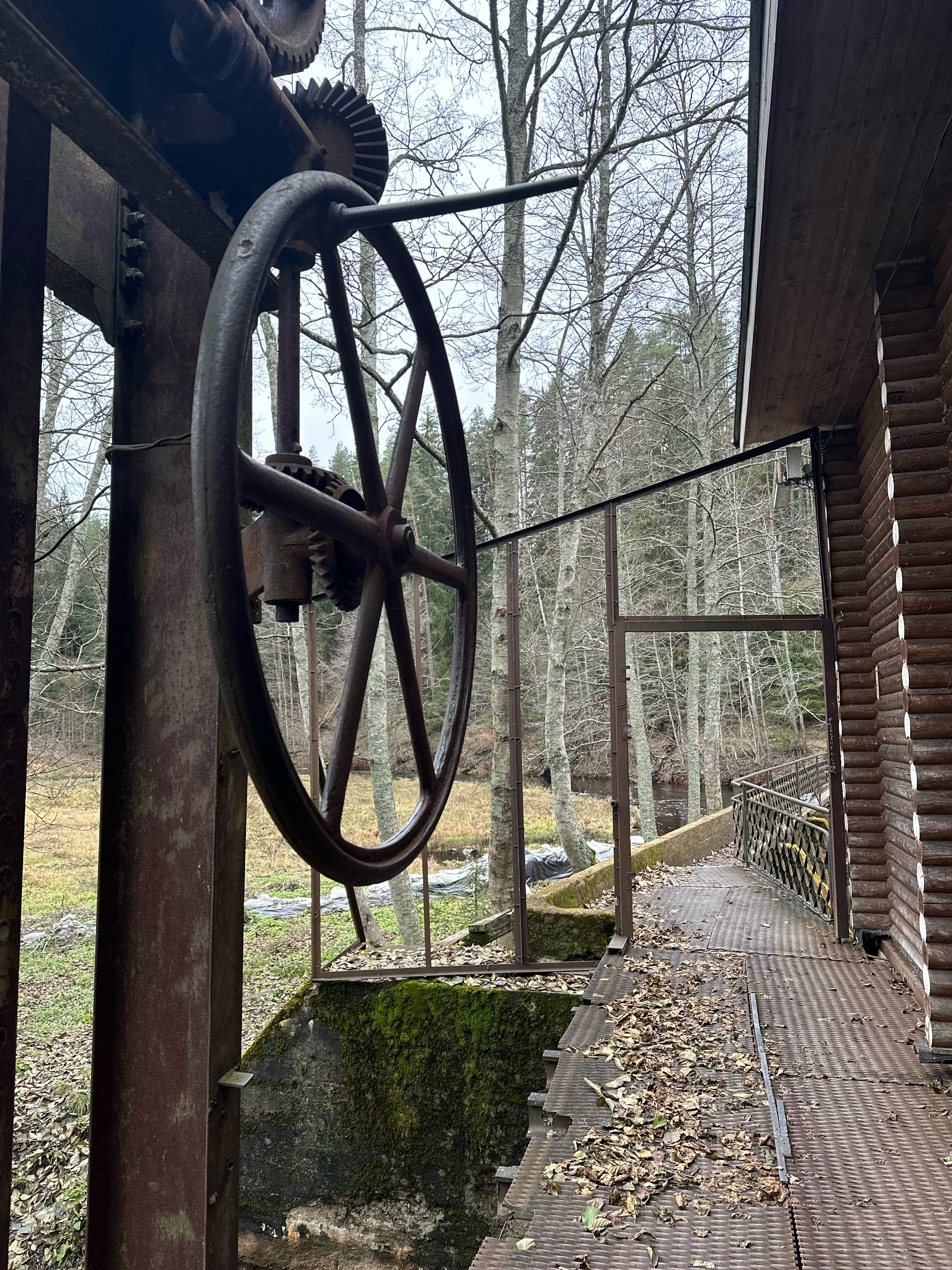 Фото Вилла Тайм