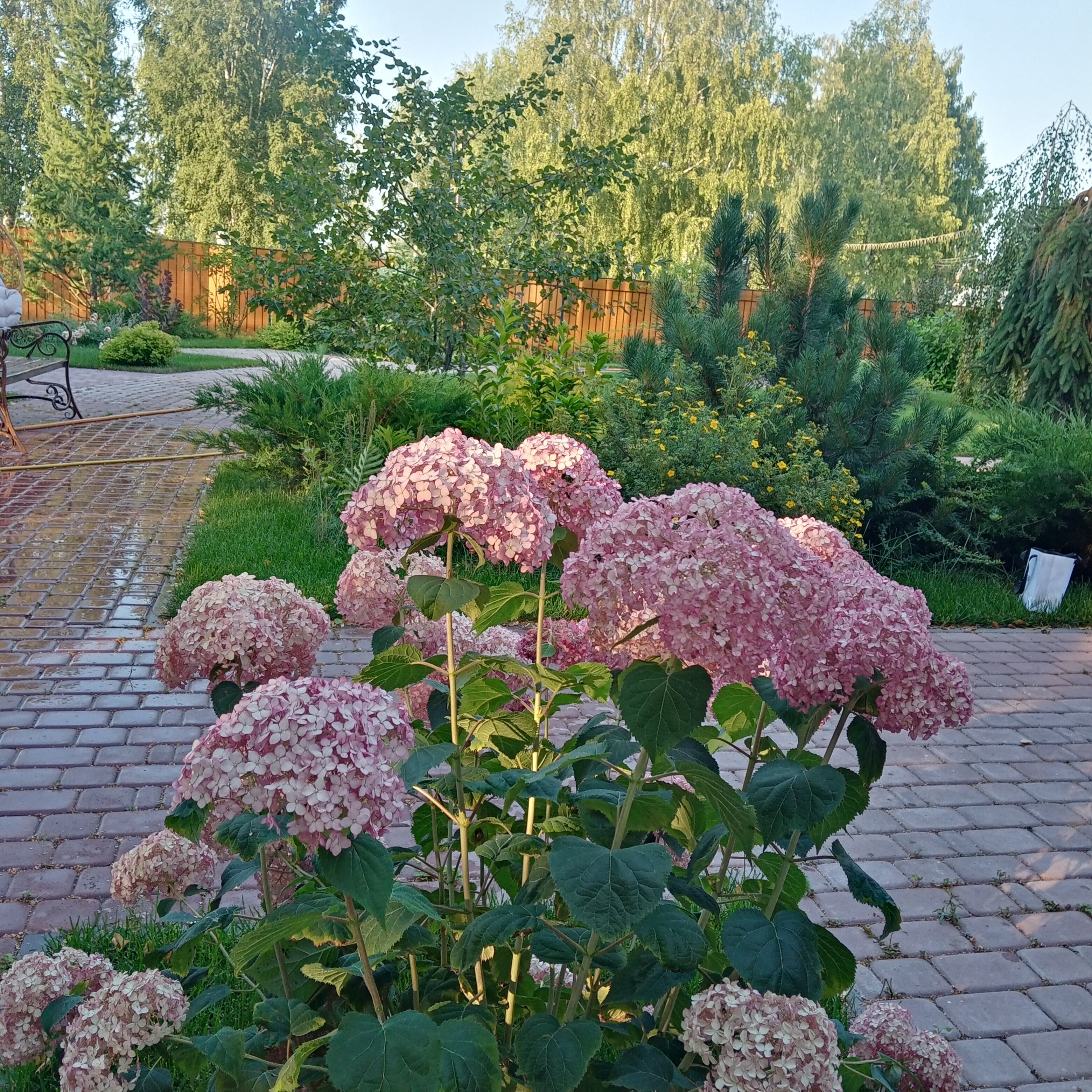 Фото Вокруг света