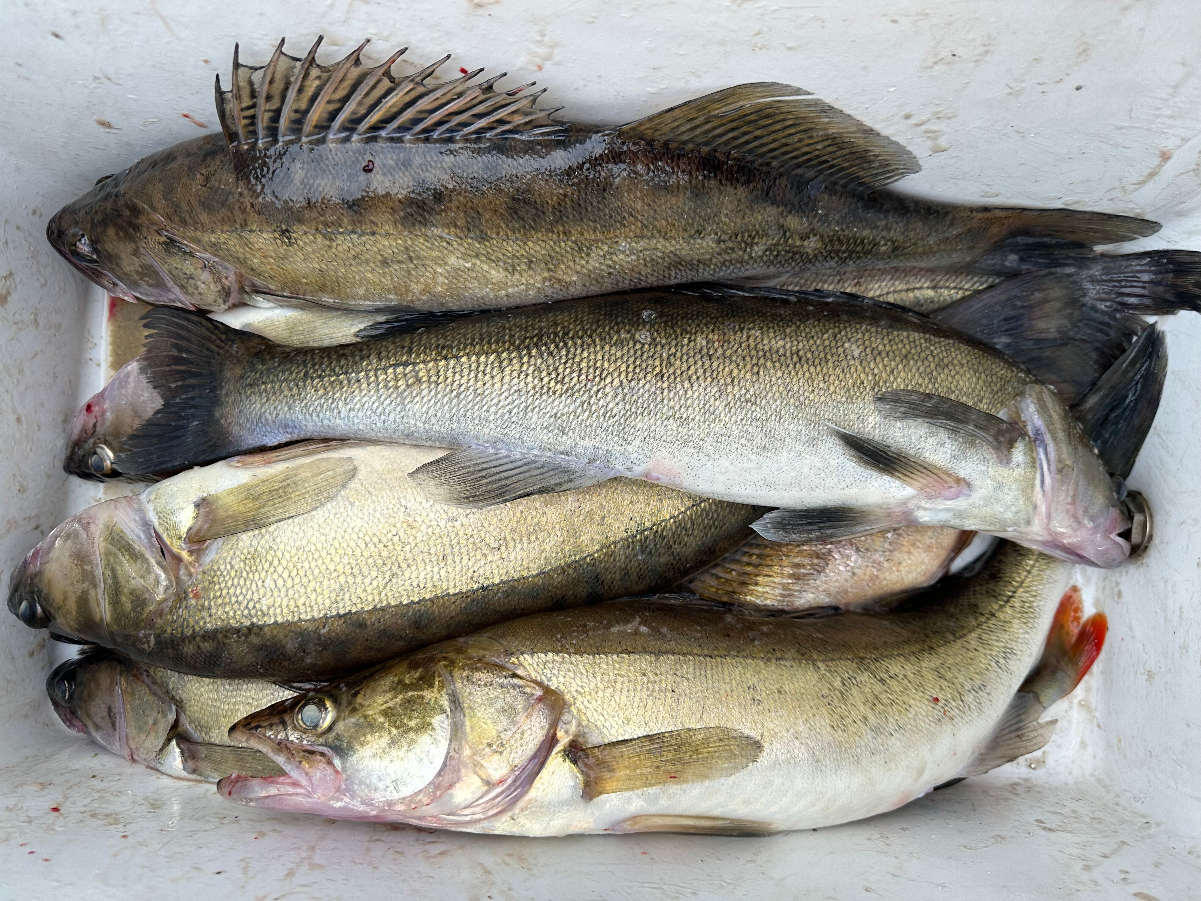 Фото Любимый уголок