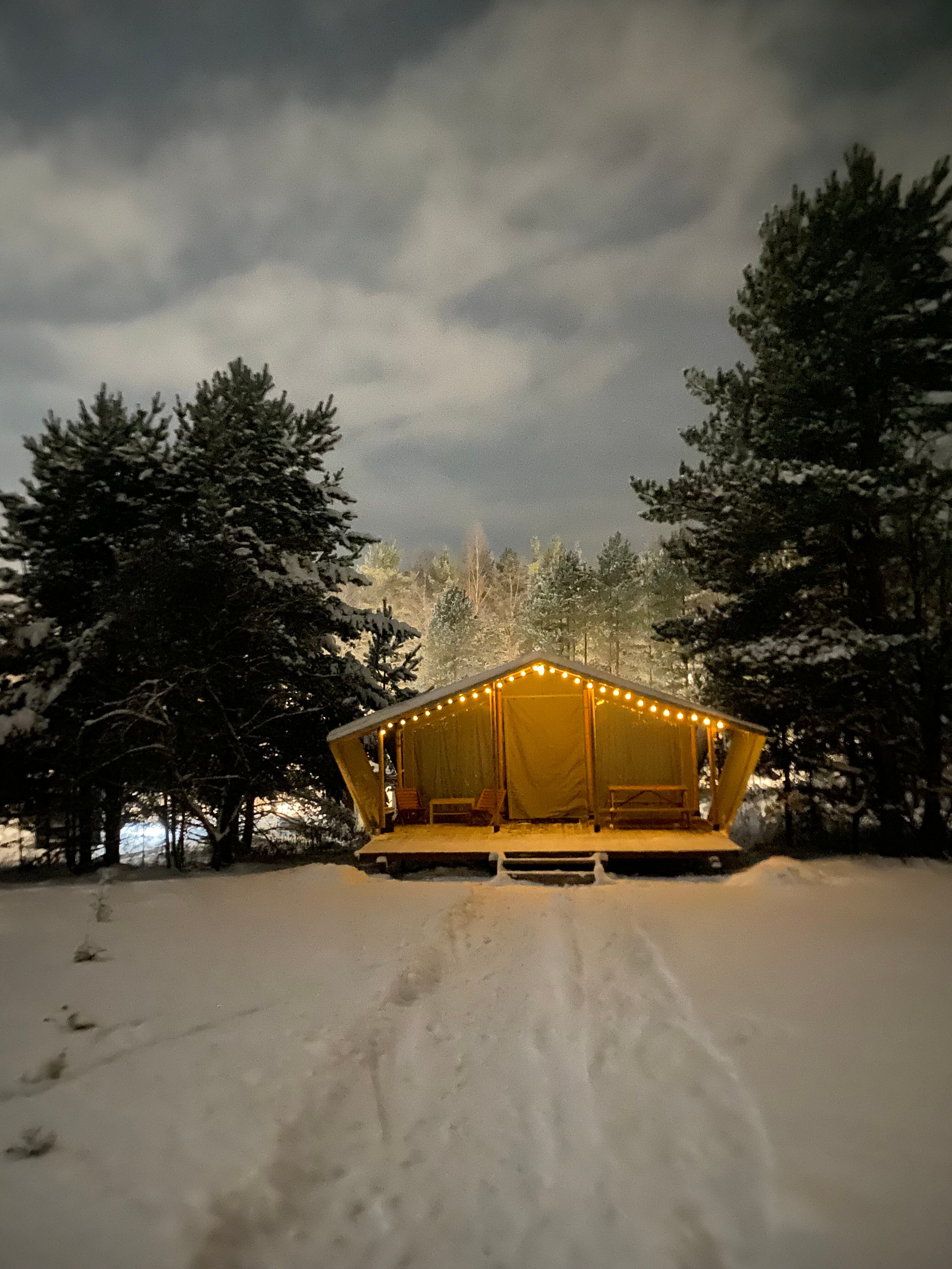 Фото Йети на комете