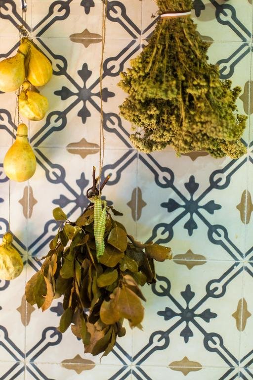 Фото Hotel Ideon