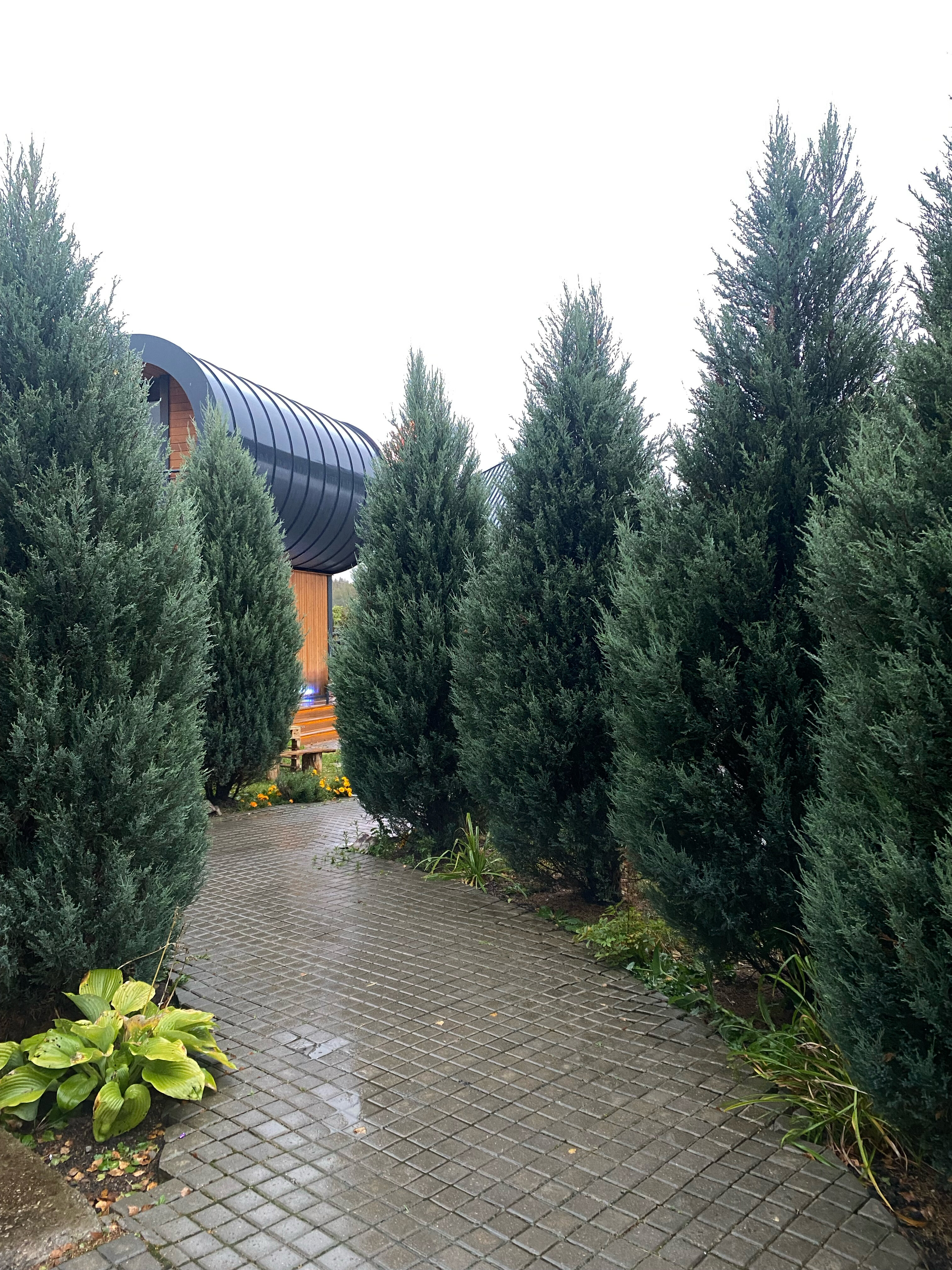 Фото Nabat Palace в Домодедово