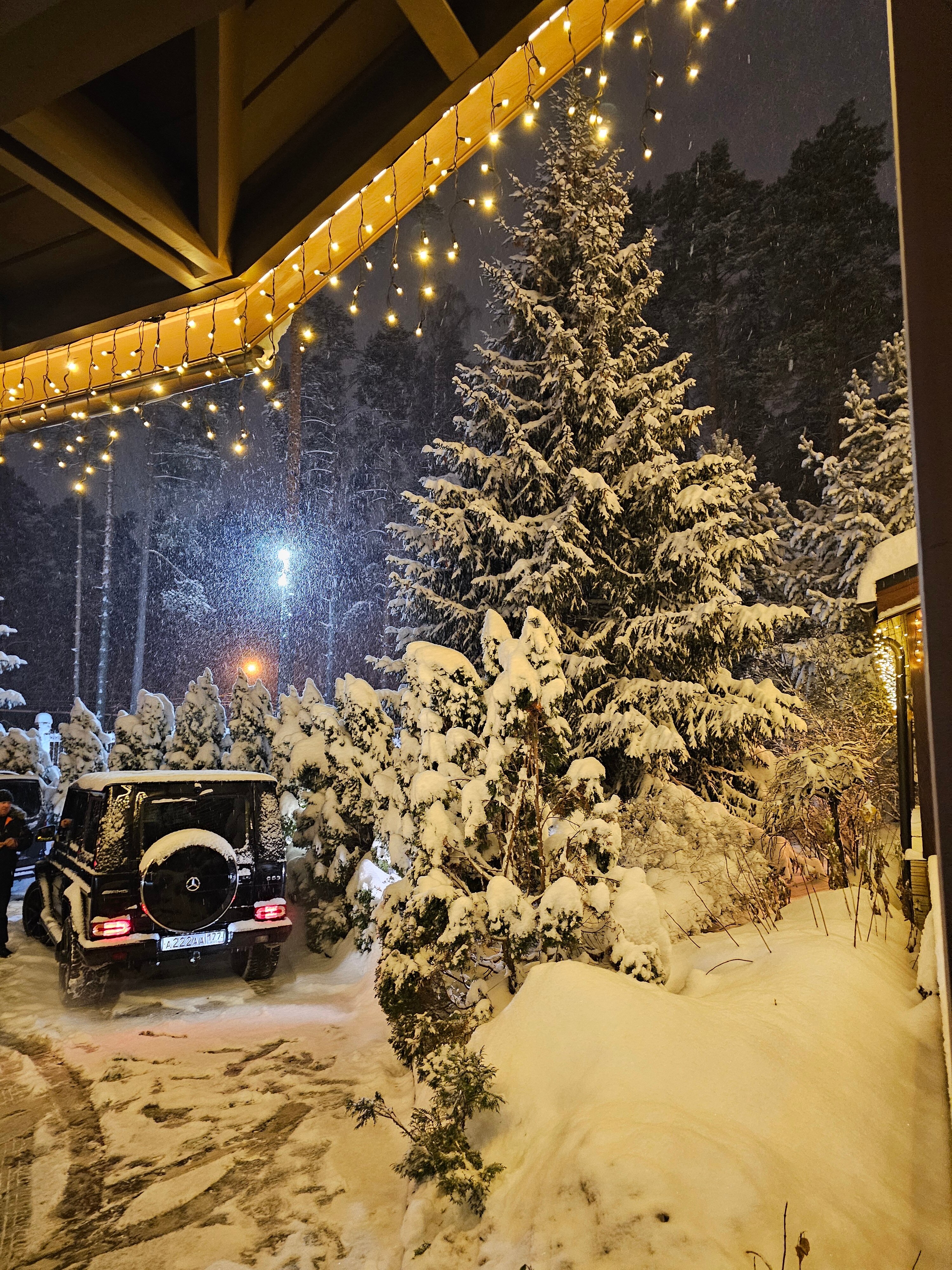 Фото Barvikha Hotel & SPA