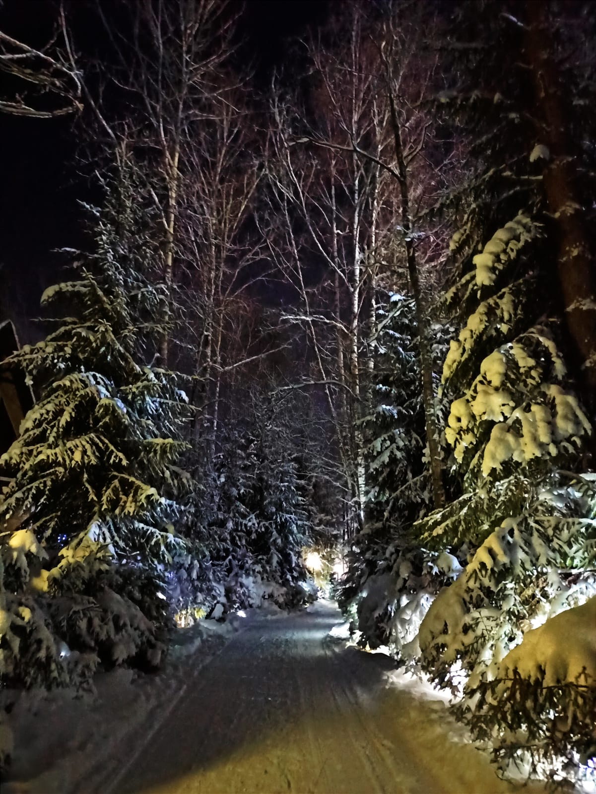 Фото Коробицыно Каскад