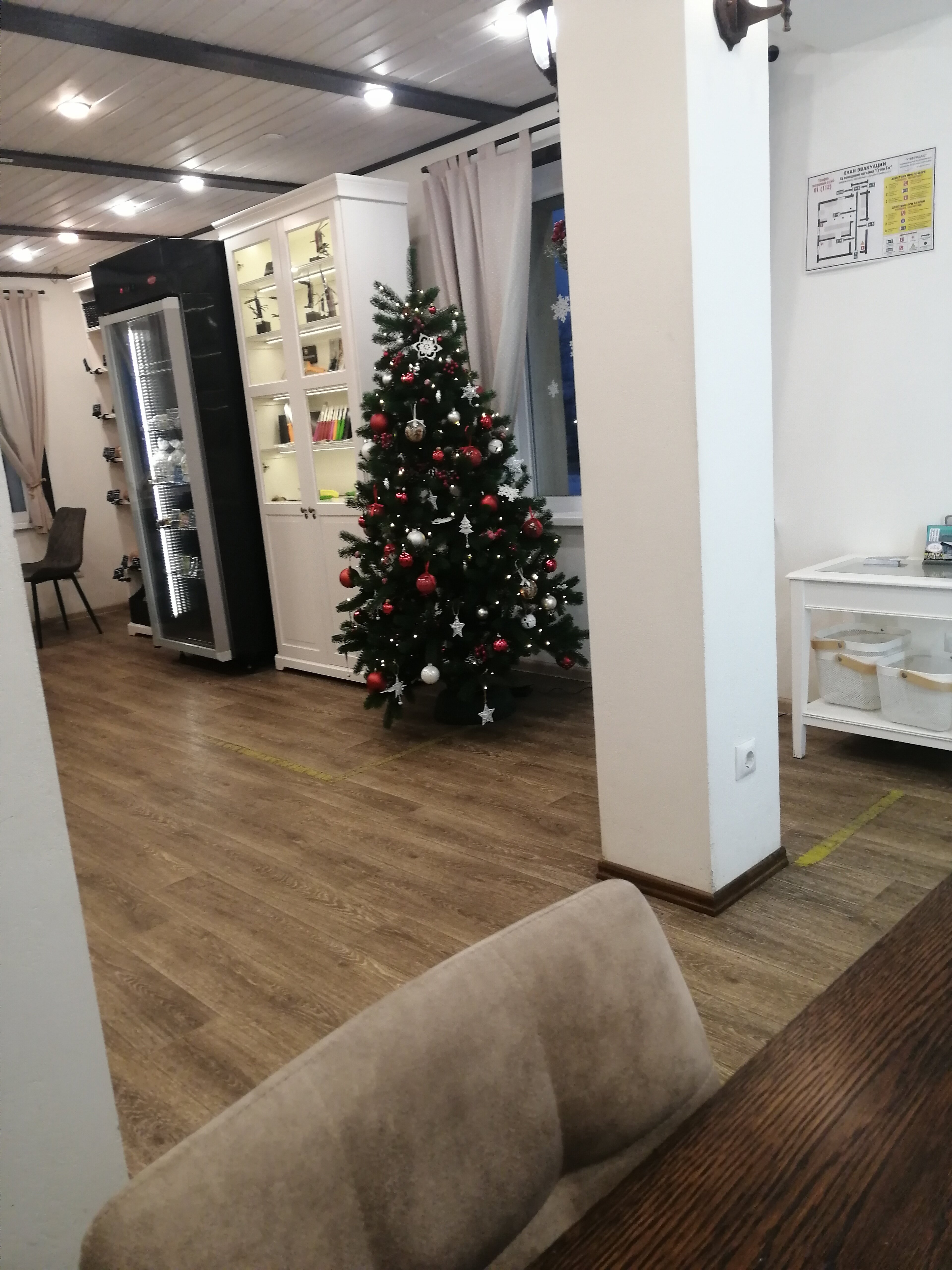 Фото Берёзка