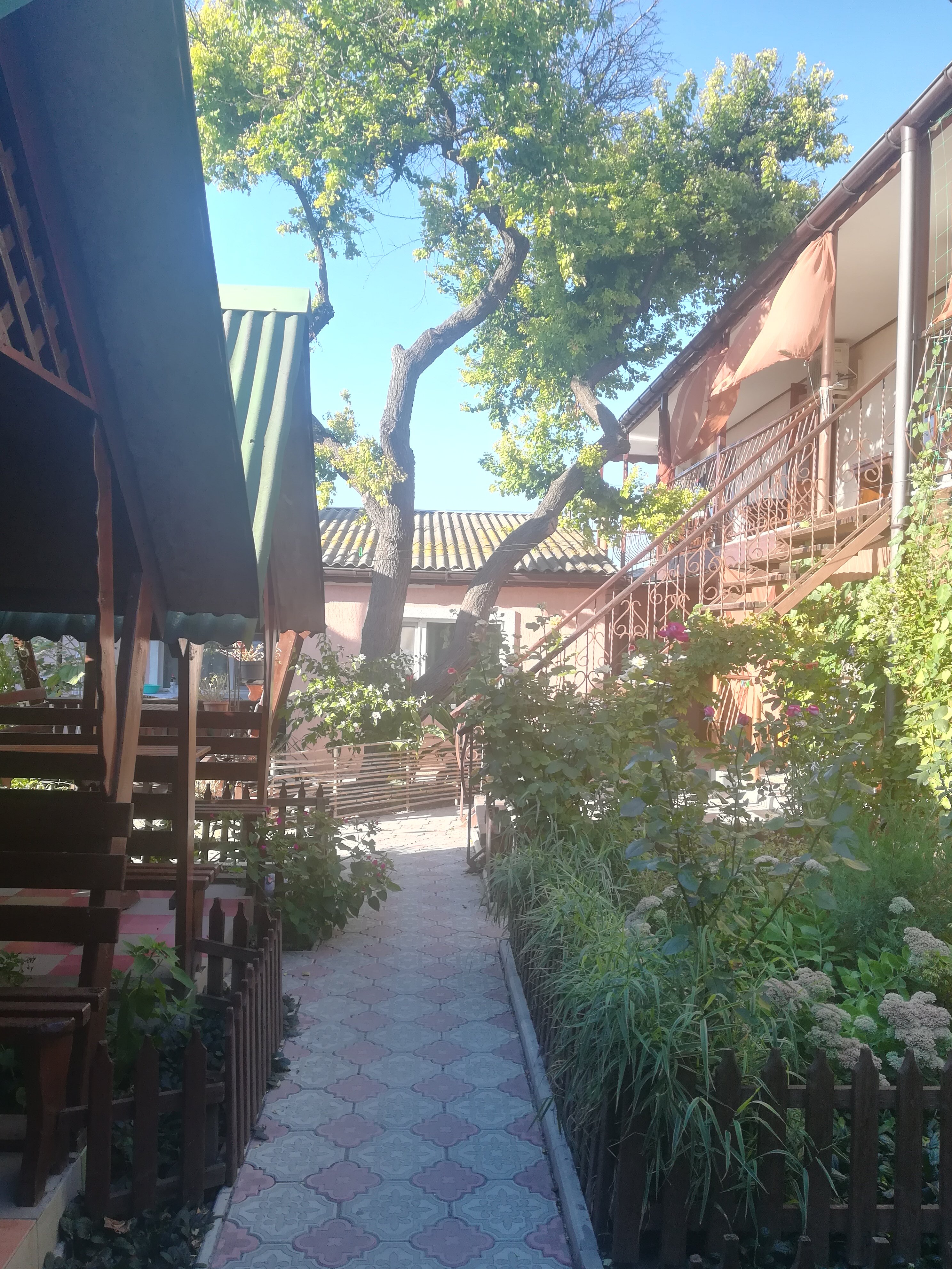 Фото У Людмилы