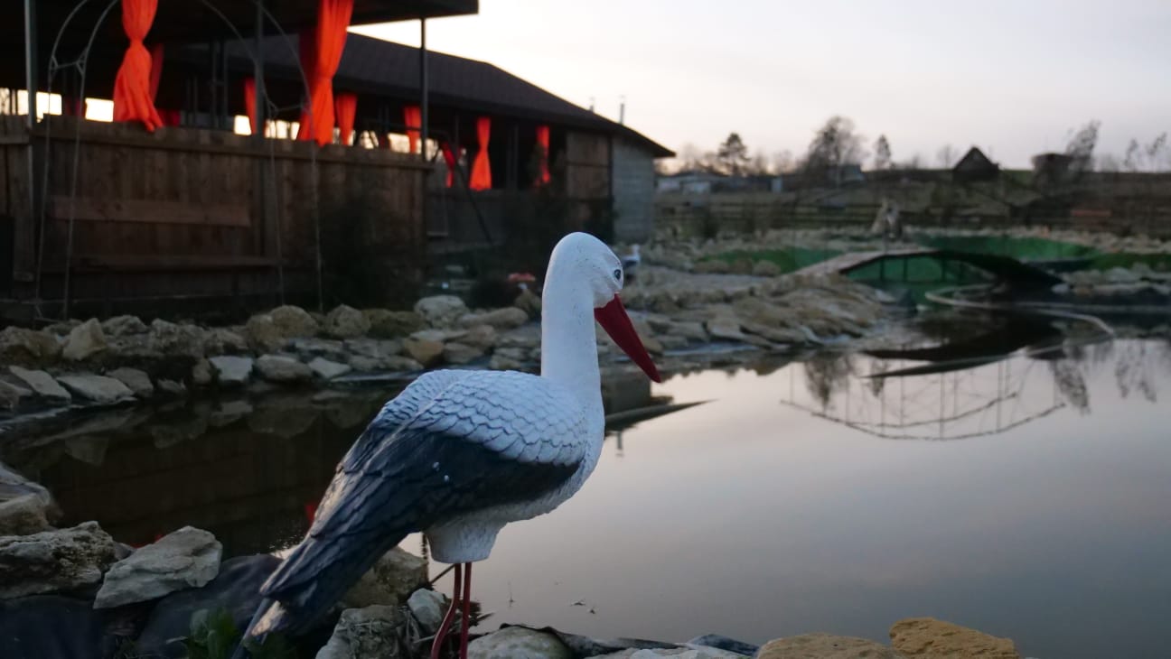 Фото Зеленогорье крепость Яръ