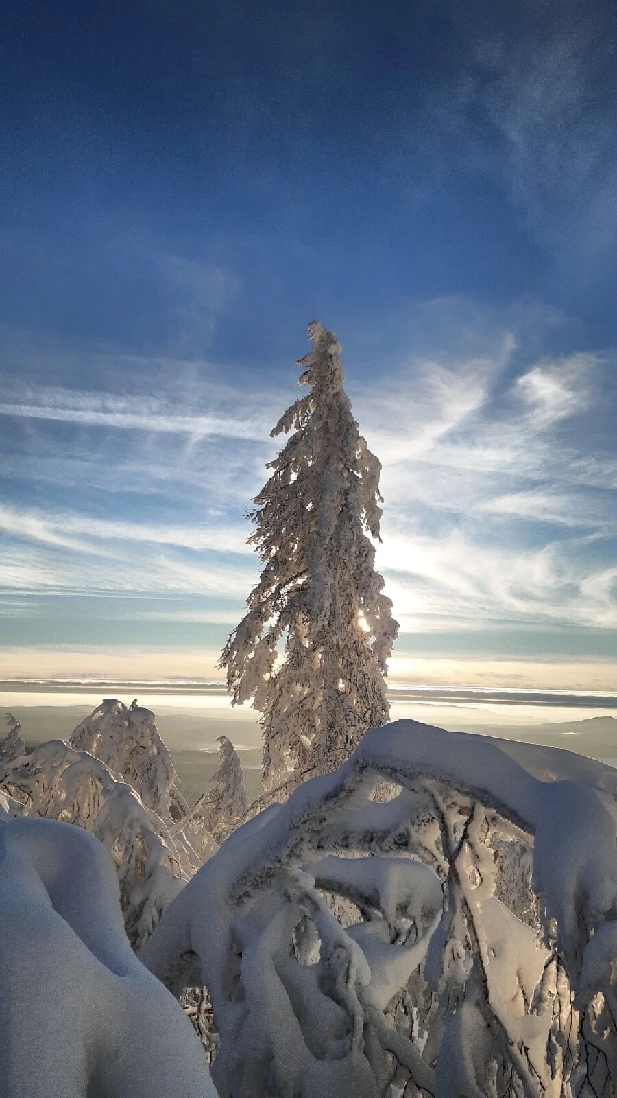 Фото Дарина