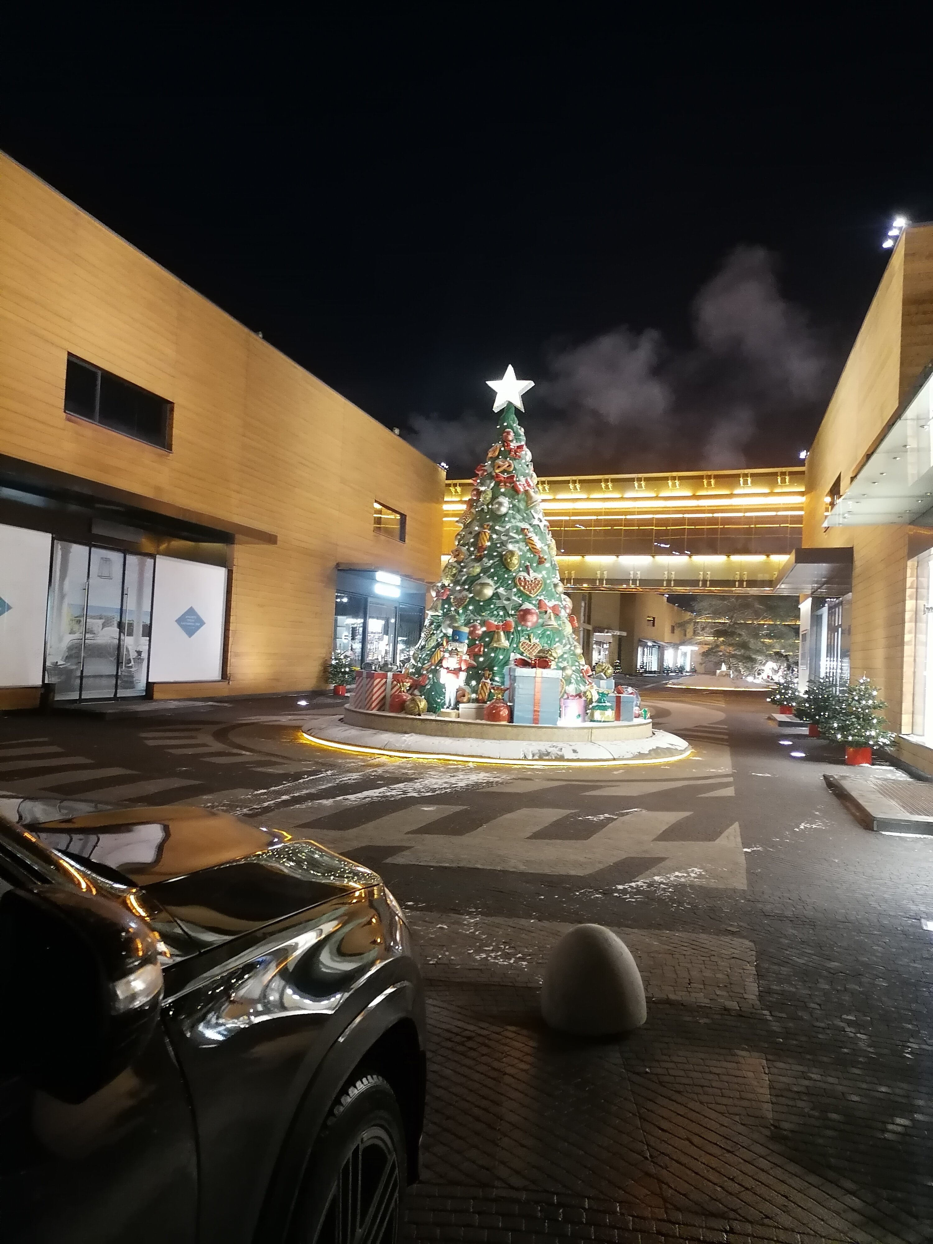 Фото Barvikha Hotel & SPA