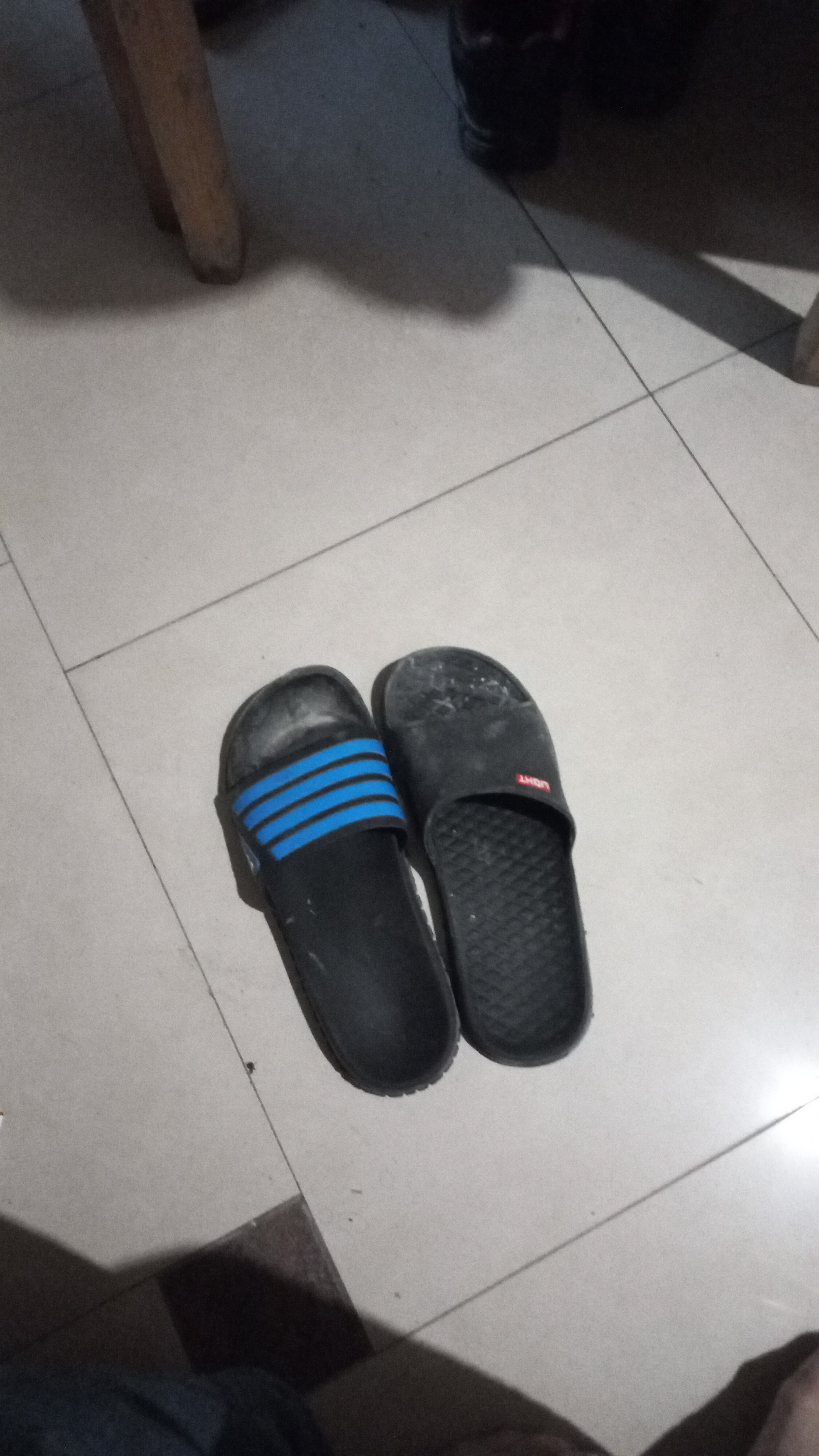 Фото Кармен