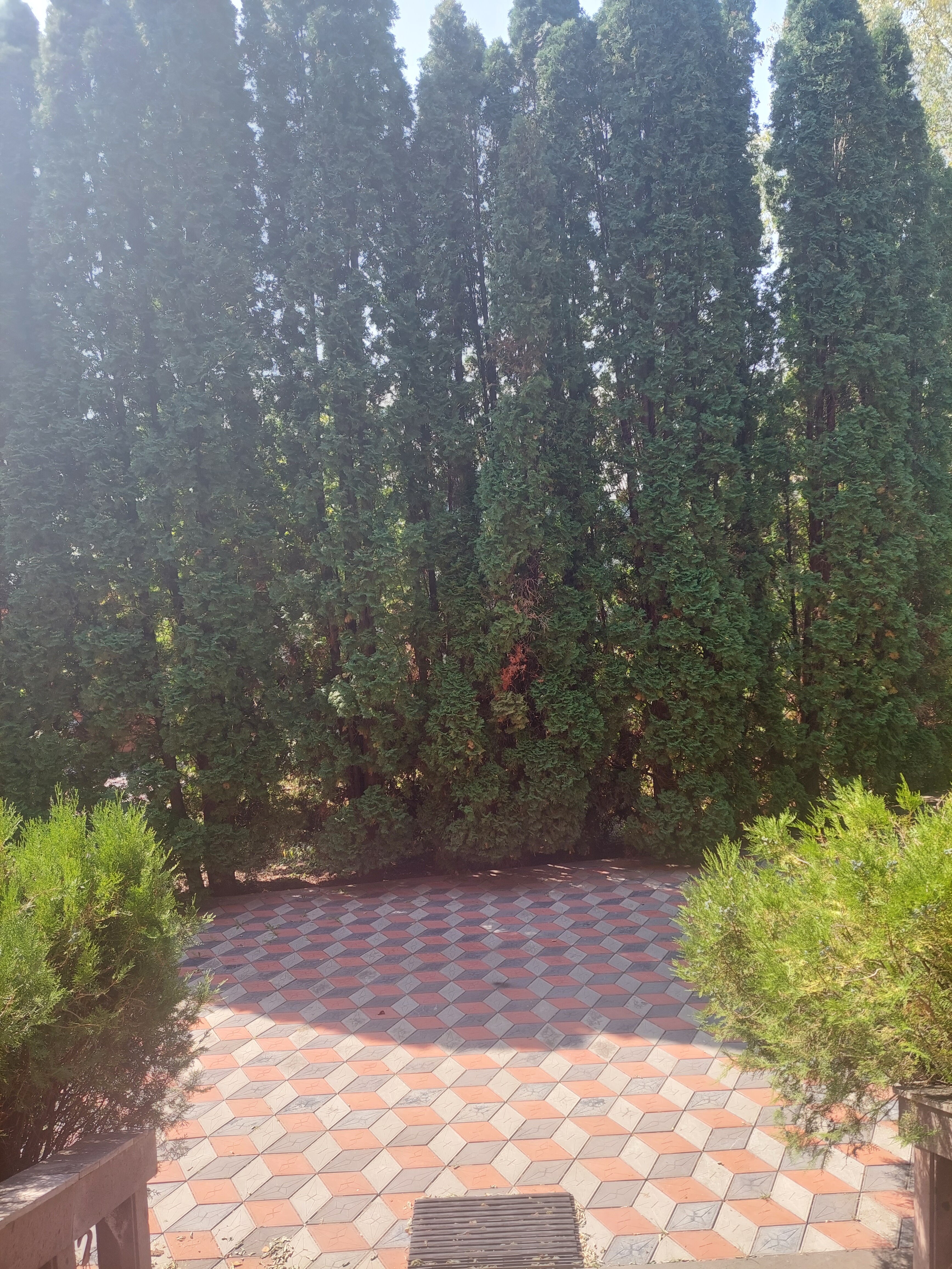 Фото Круглогодичный Тёплый бассейн