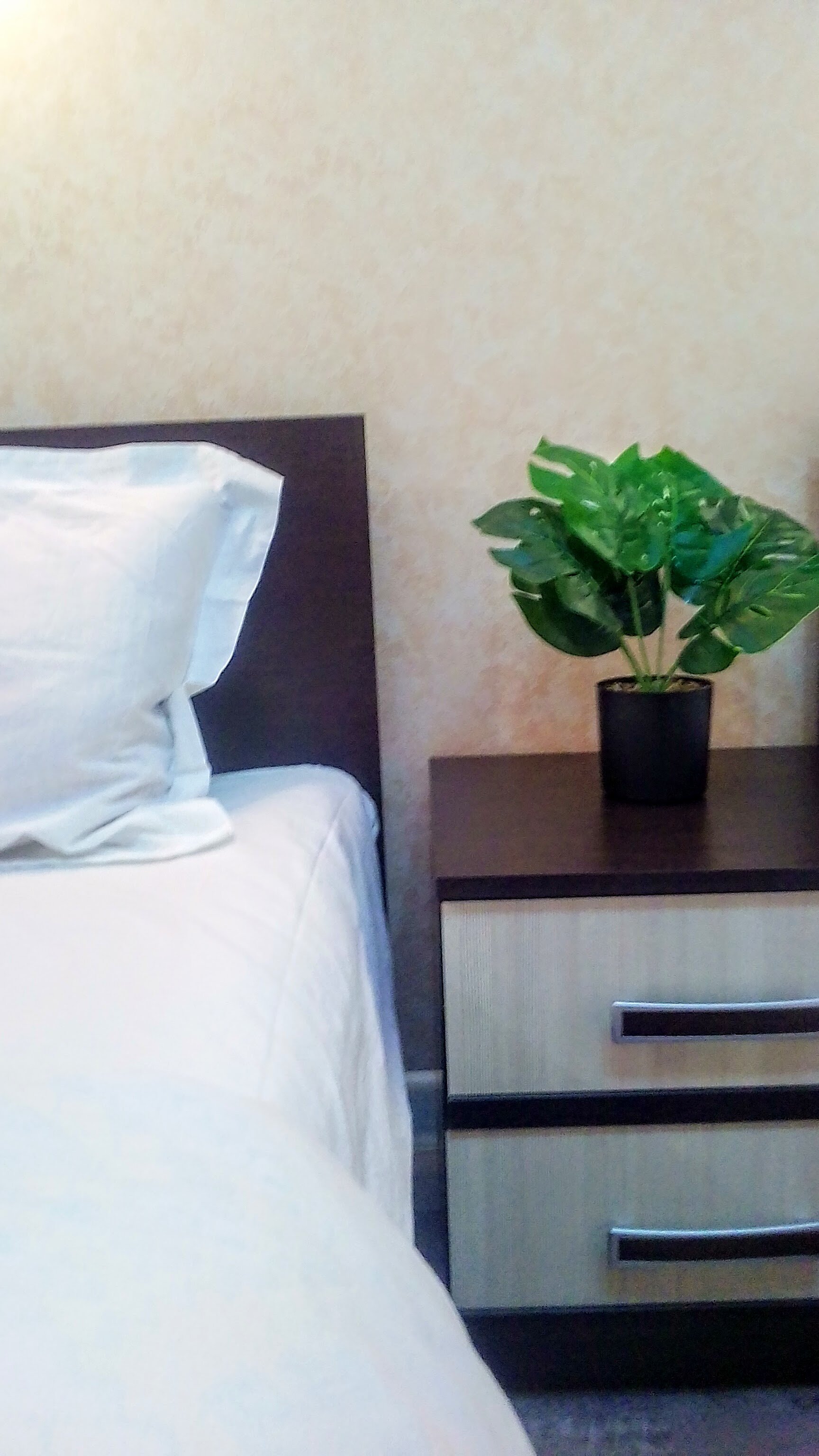 Фото СуточноРОСТОВ на Черепахина 235