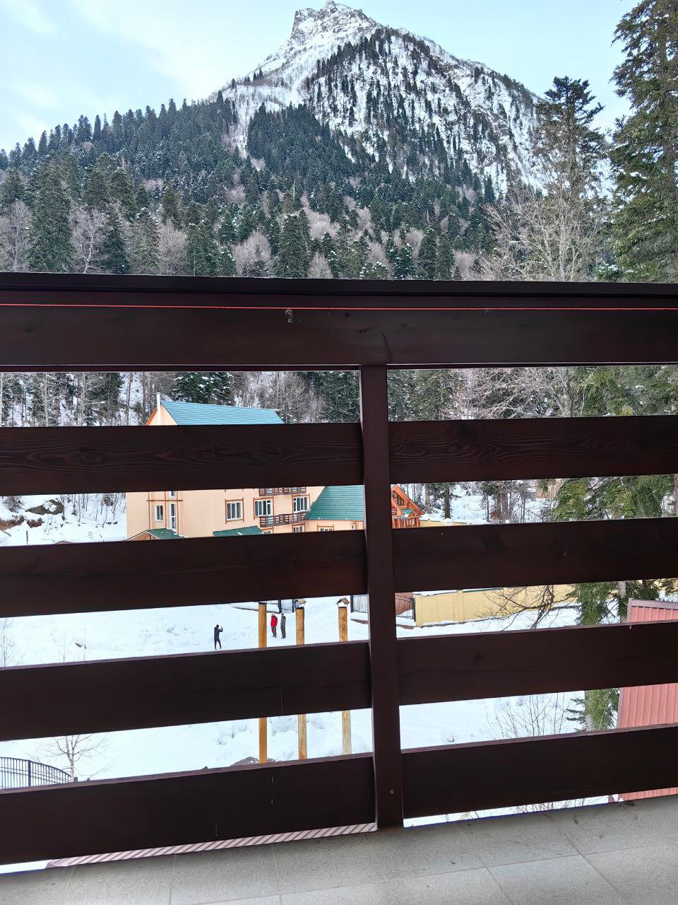 Фото Снежный Барс