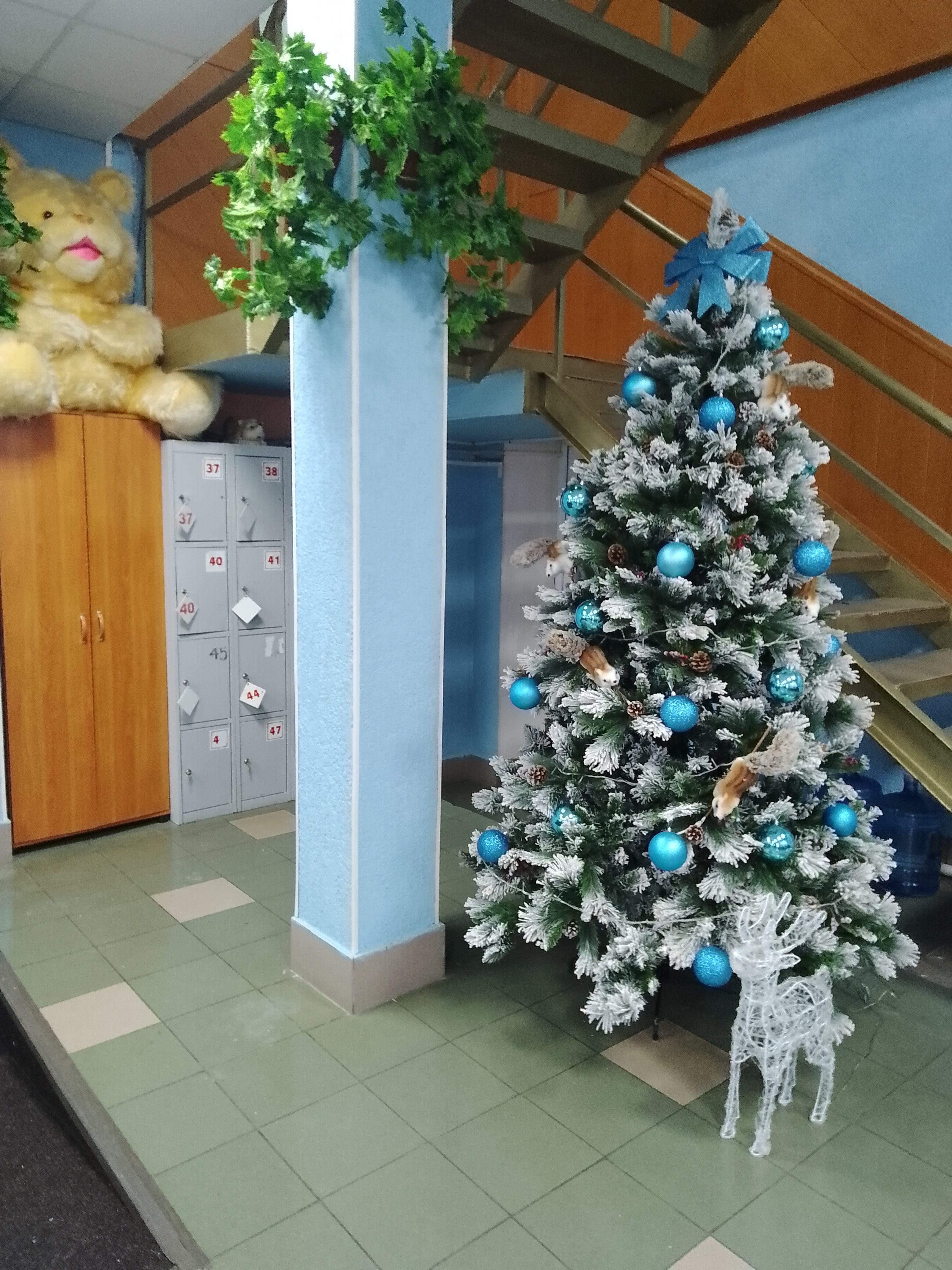 Фото Радуга