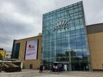 Sirius Star (Saken Seifullin Avenue, 506) ، وكالة إعلانات
