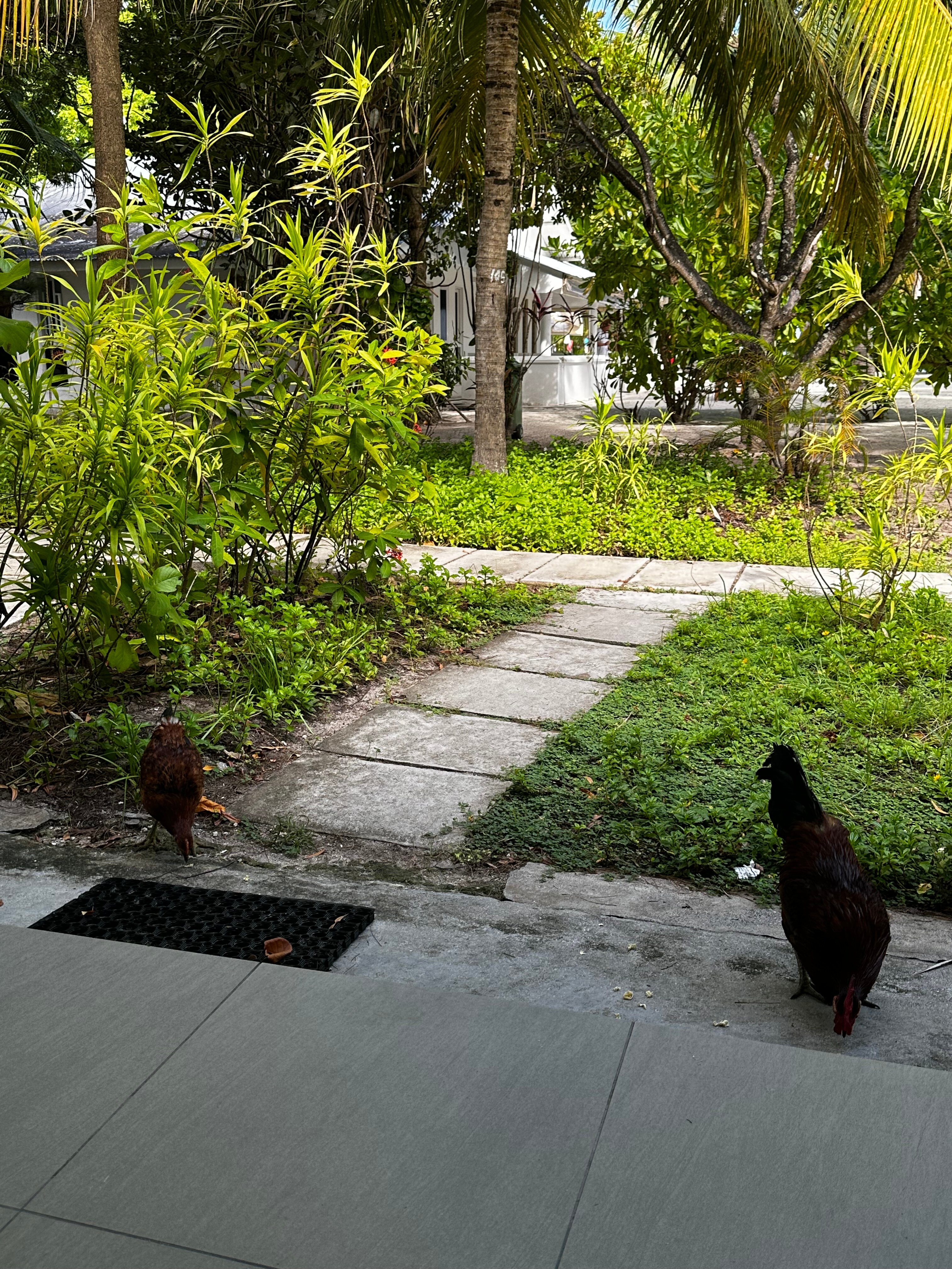 Фото Equator Village 