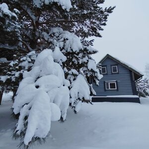 Соколки вилладж