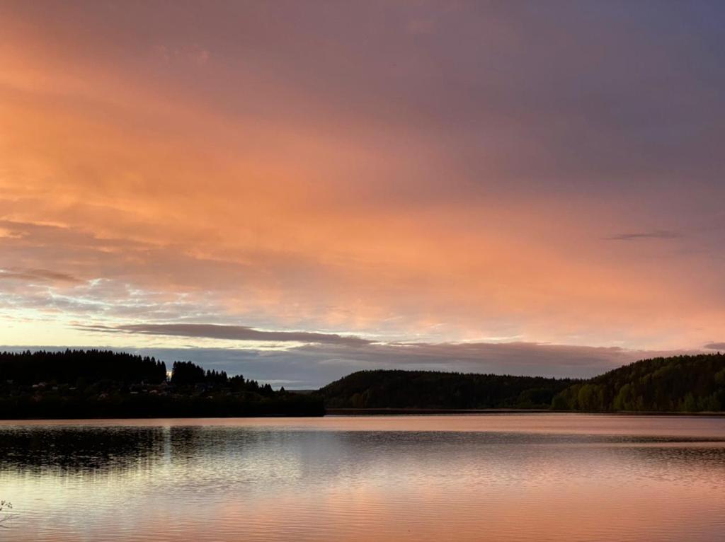 Фото Черника в Сонном заливе