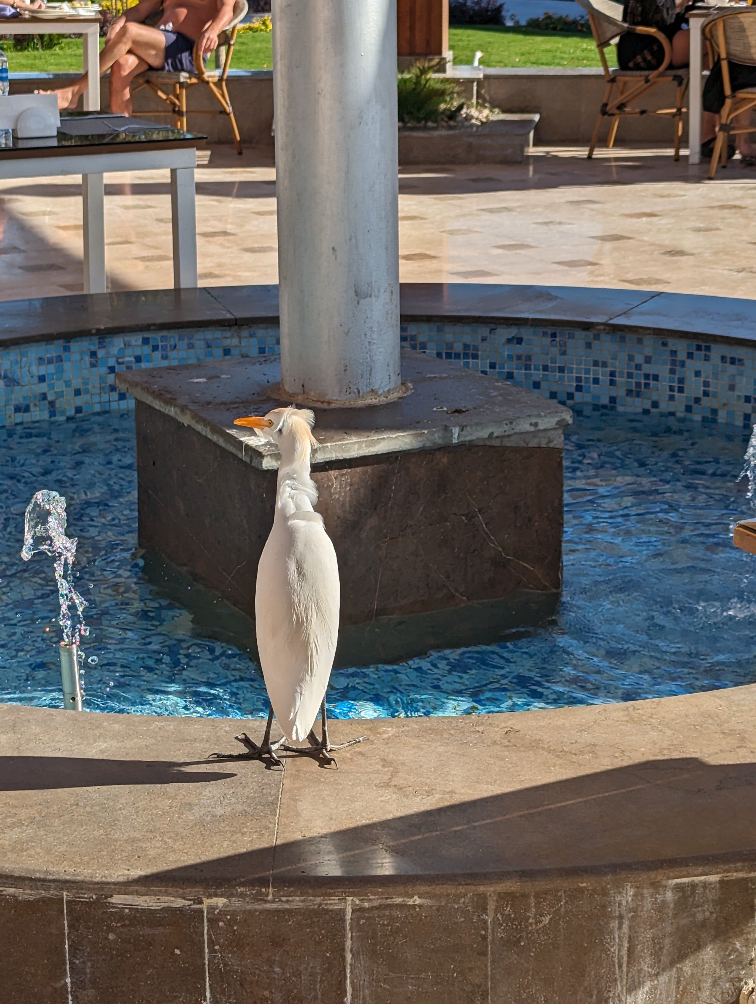 Фото 43410495811