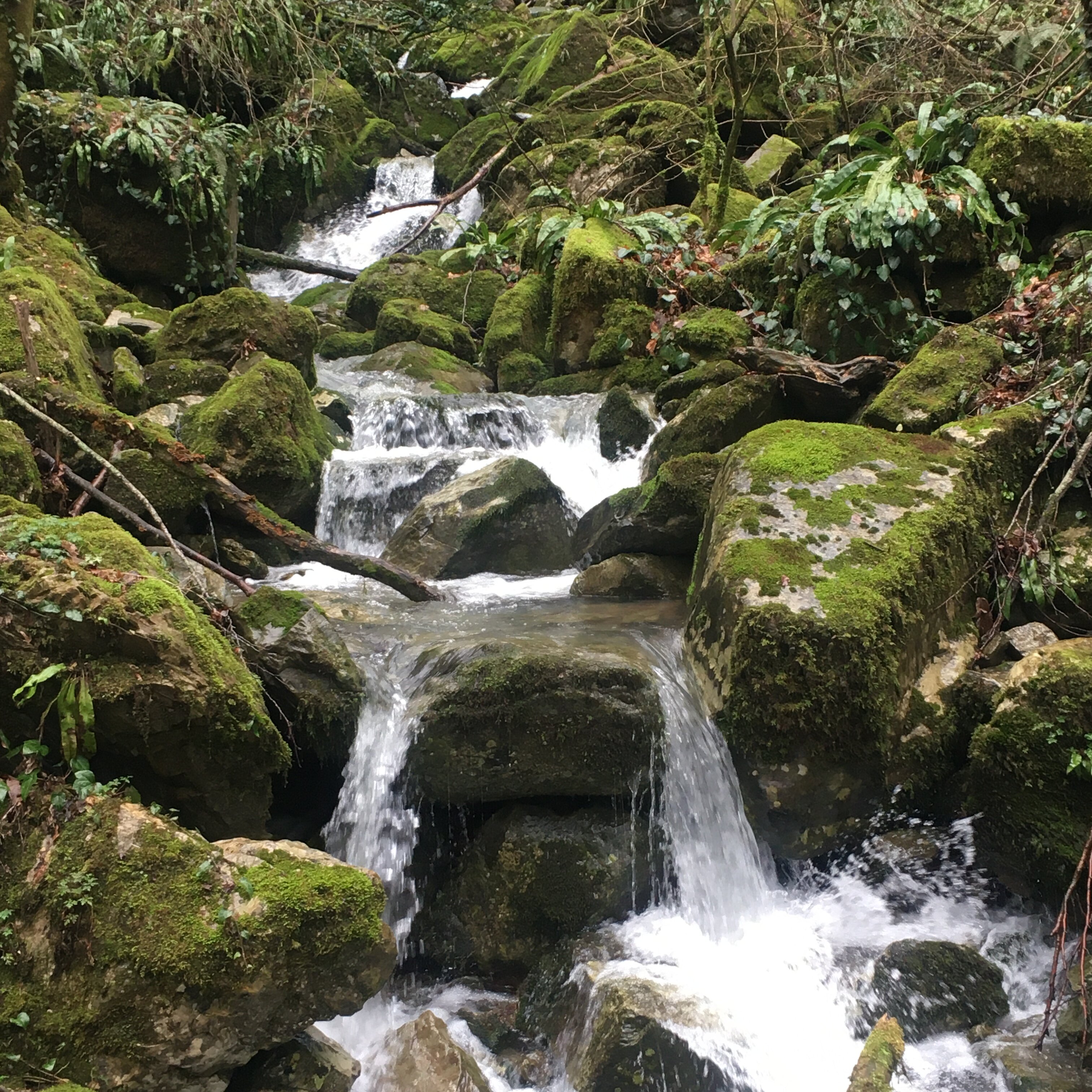 Фото Воронцовская Дача