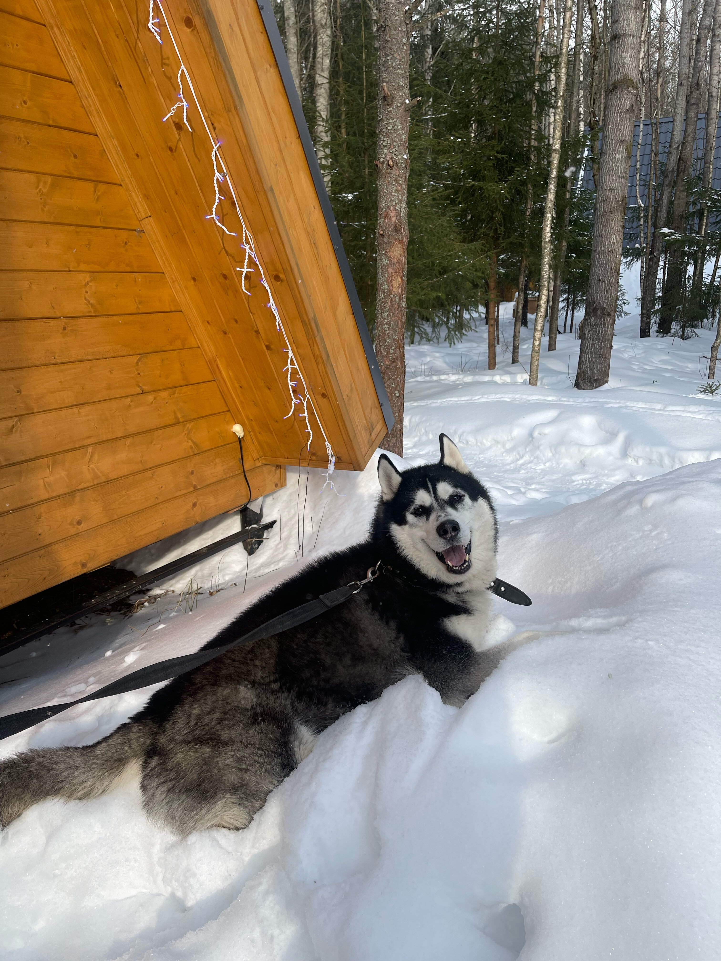 Фото Klever House Хиттолоярви
