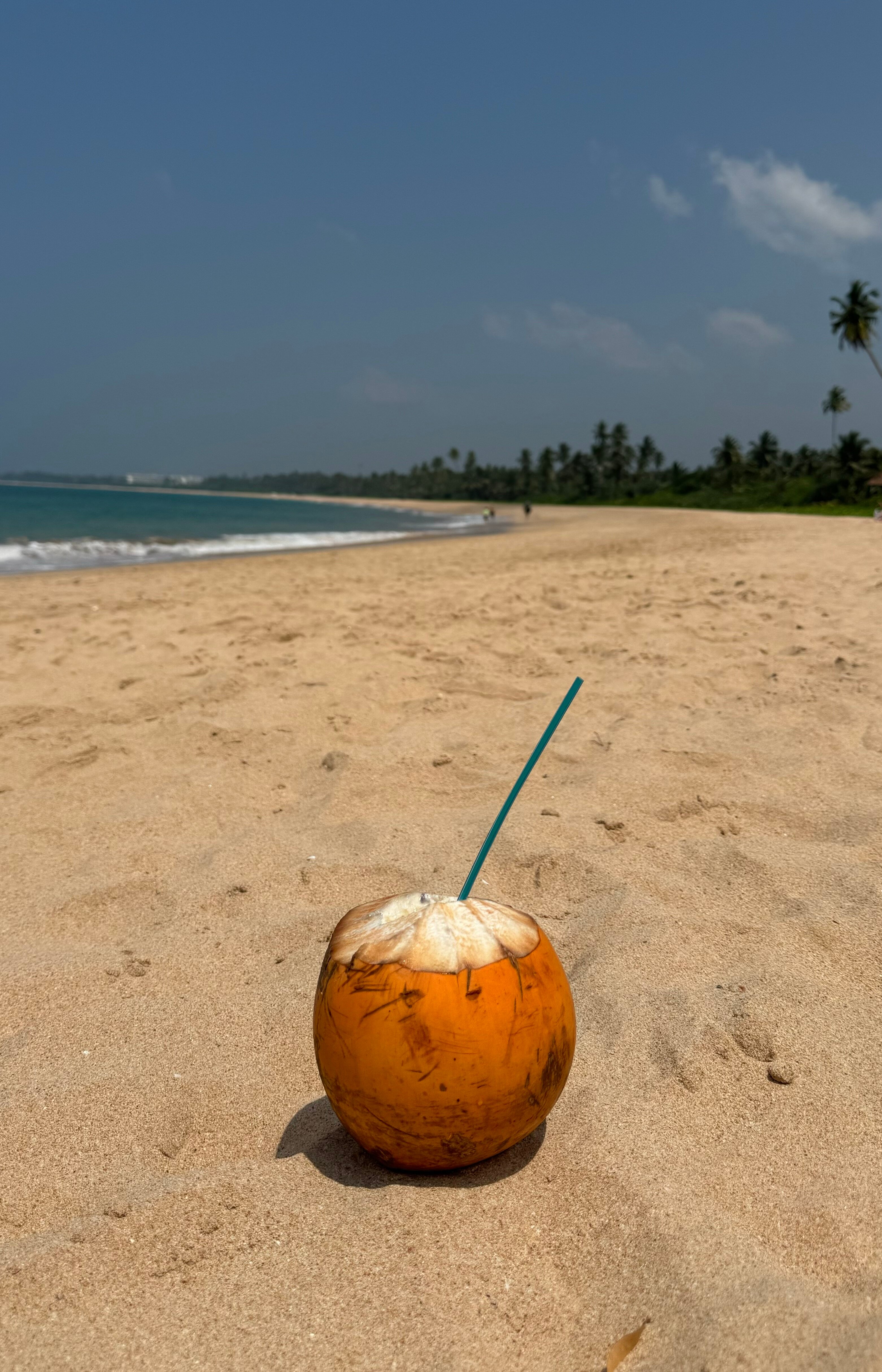 Фото Shinagawa Beach