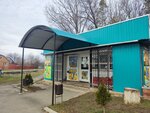 Витязь (stanitsa Grigoropolisskaya, Vodopadnaya ulitsa, 56А), grocery