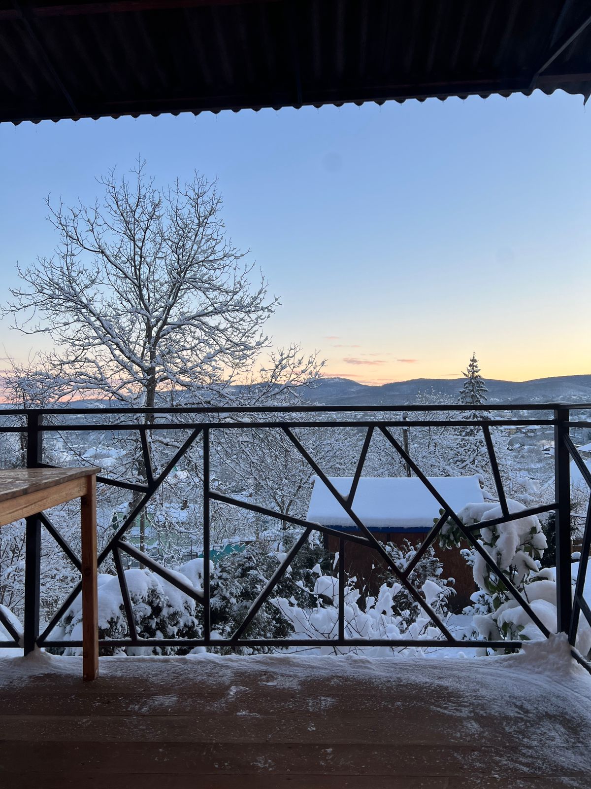 Фото Дом Совы