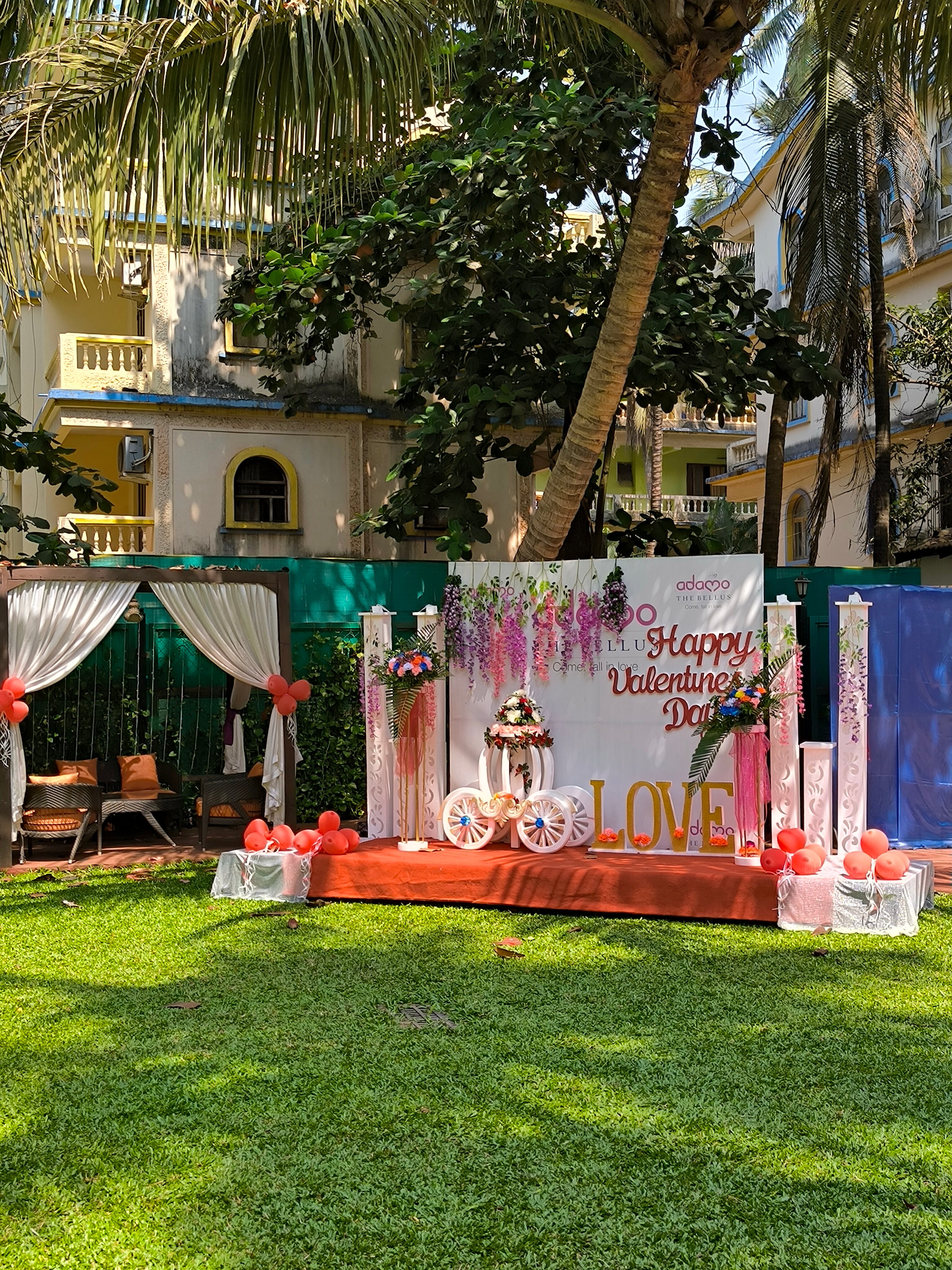 Фото Adamo The Bellus