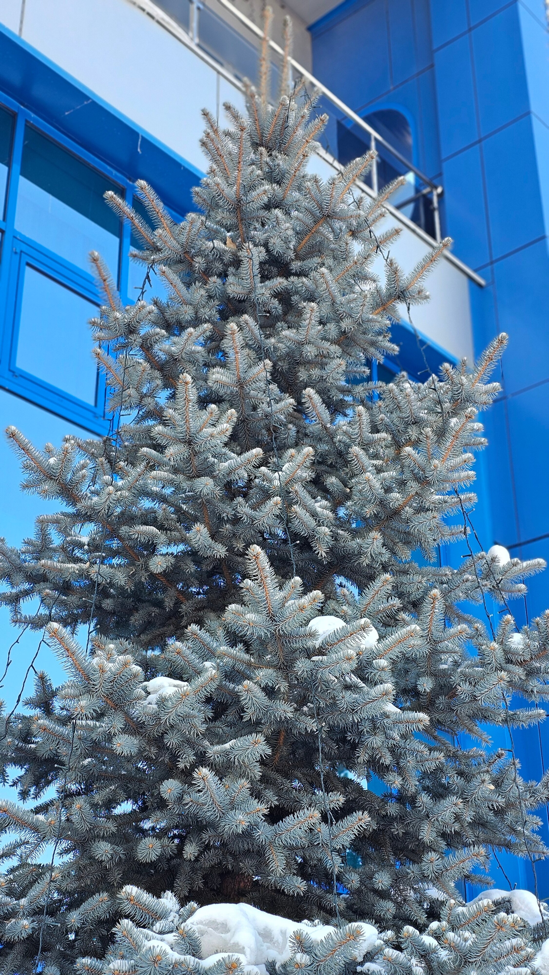 Фото Отель 41