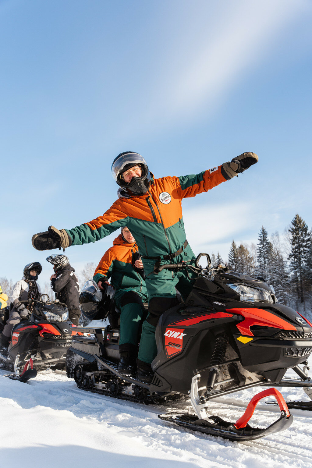 Фото Снежные Гуси