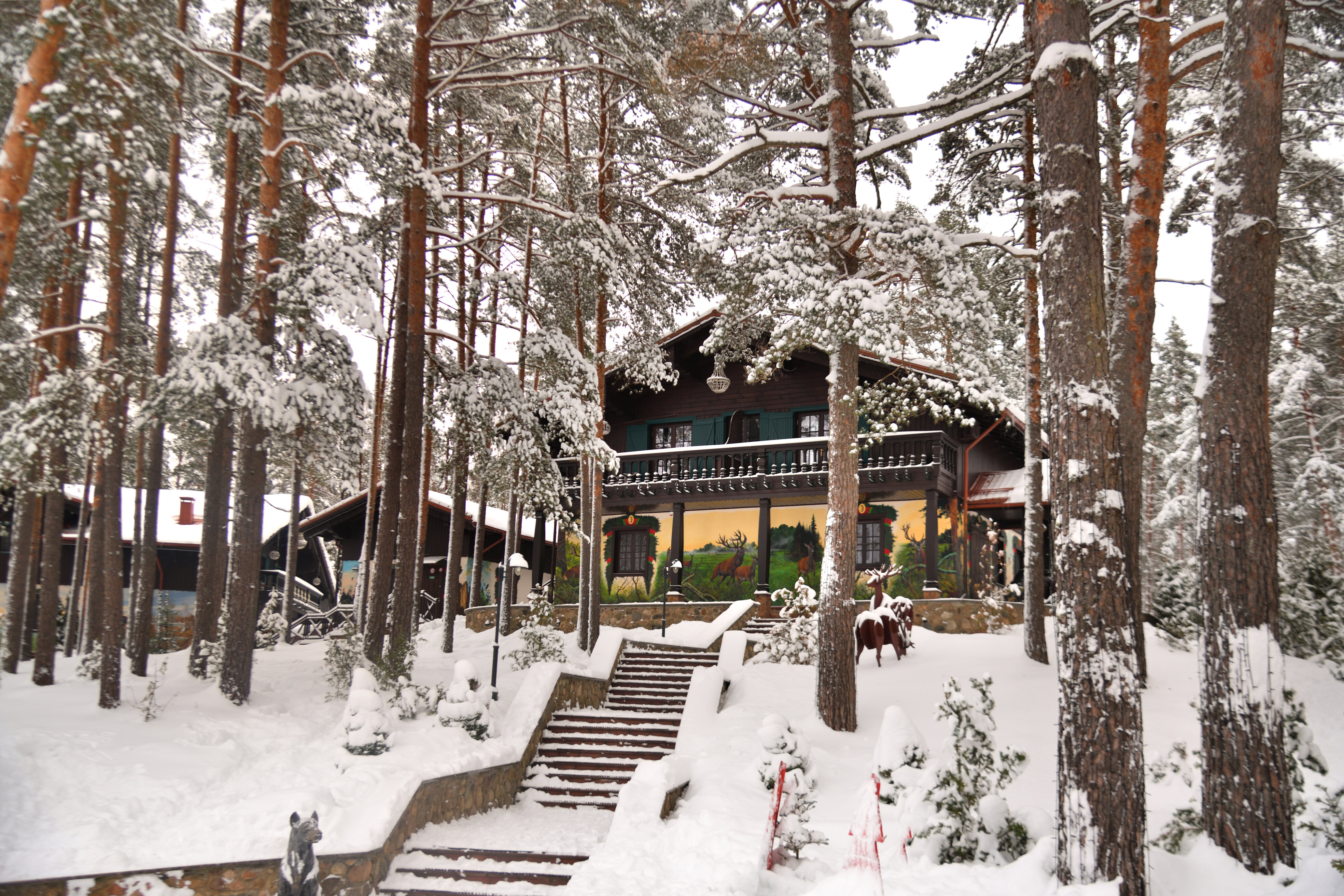 Фото Красный Бор