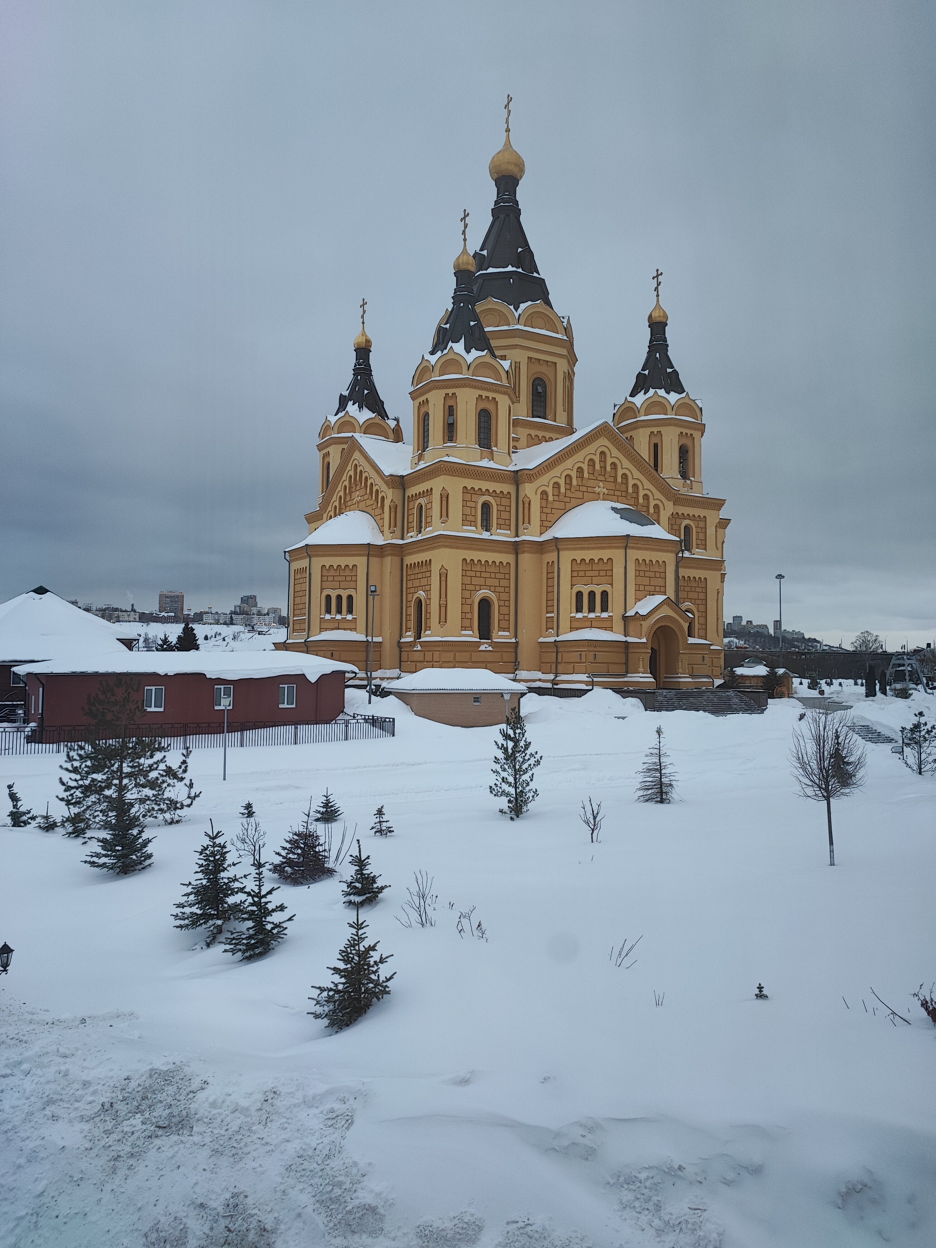 Фото Никитин