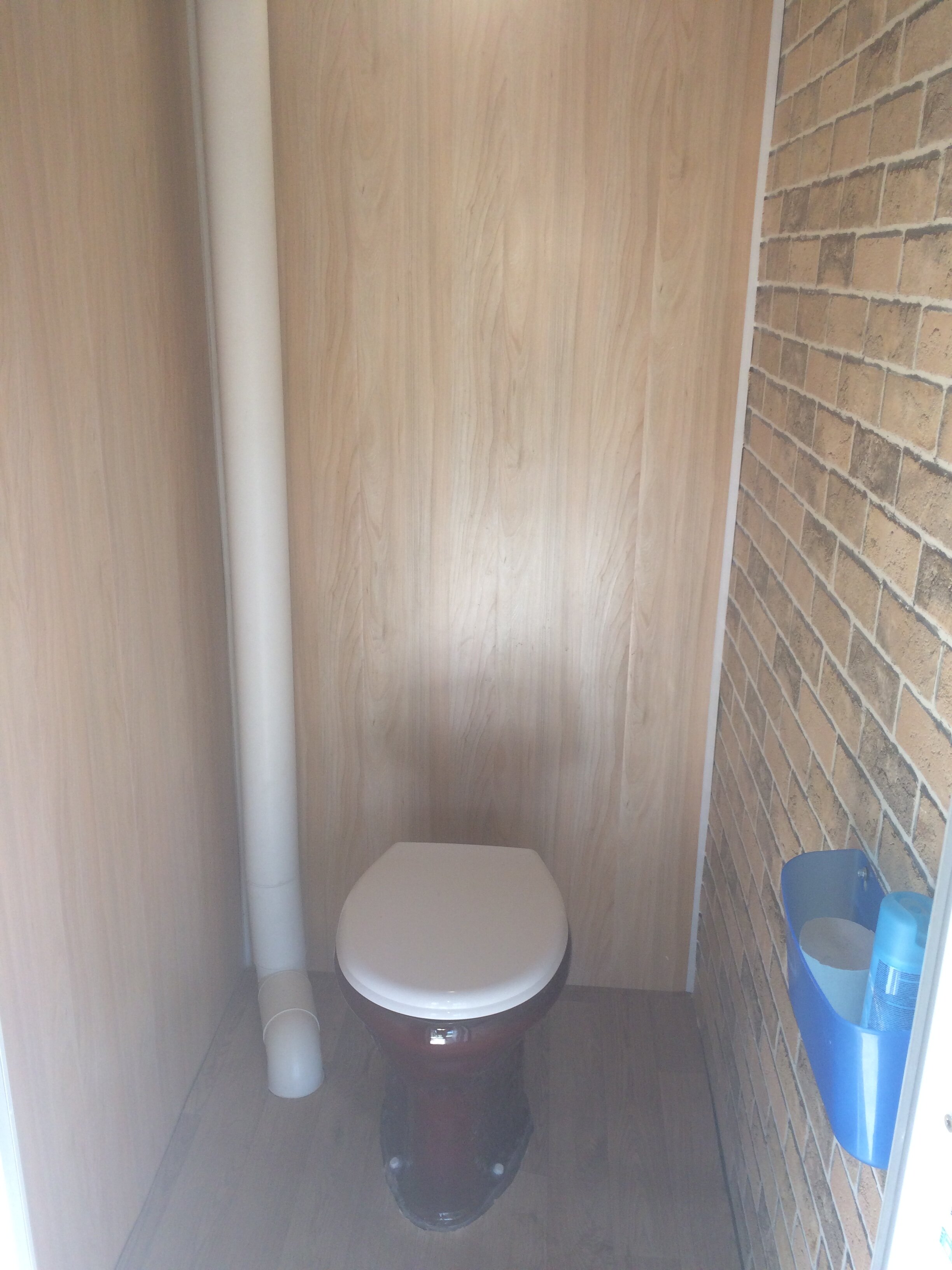 Фото Золотая Рыбка