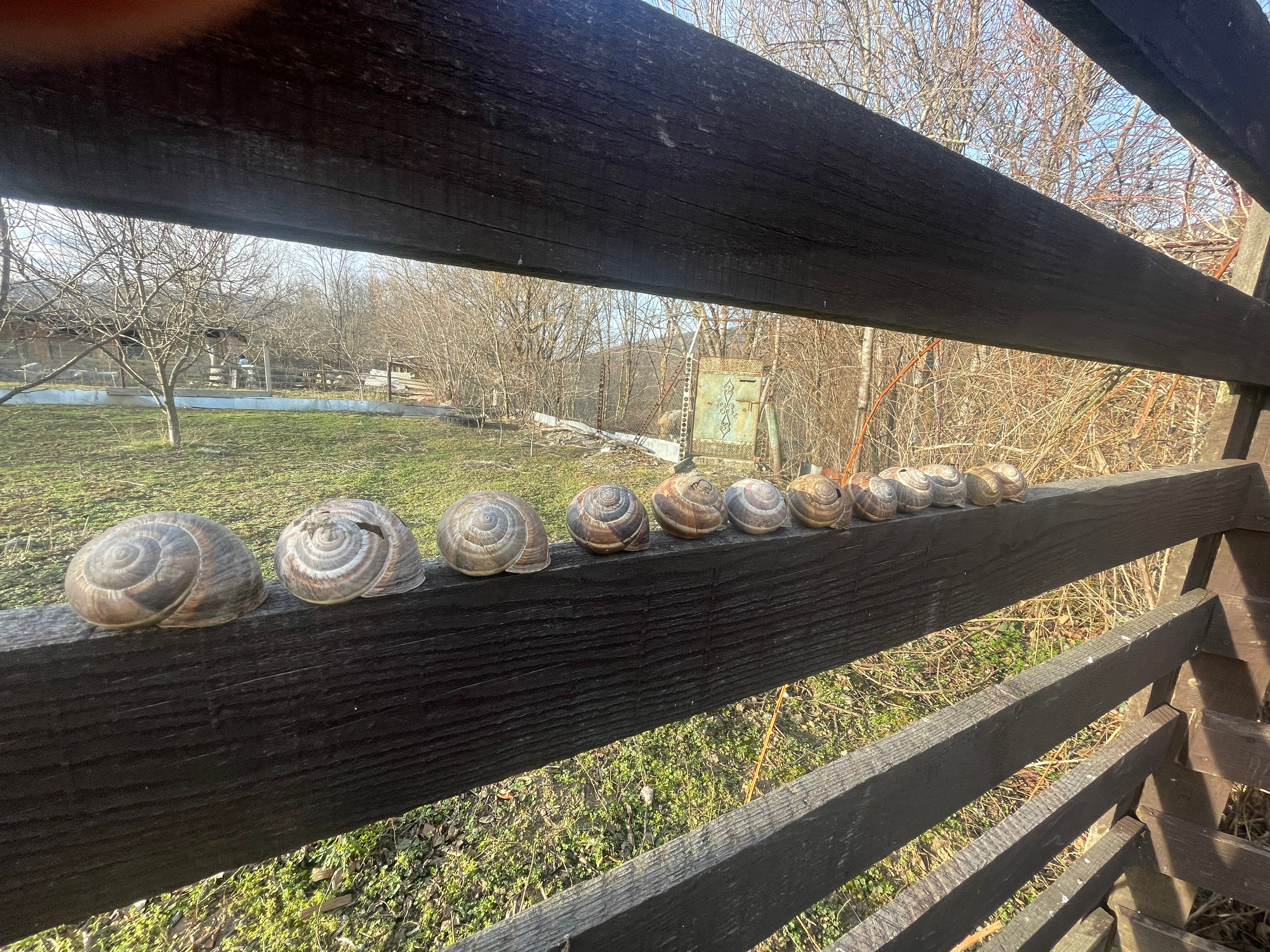 Фото Тихая полянка