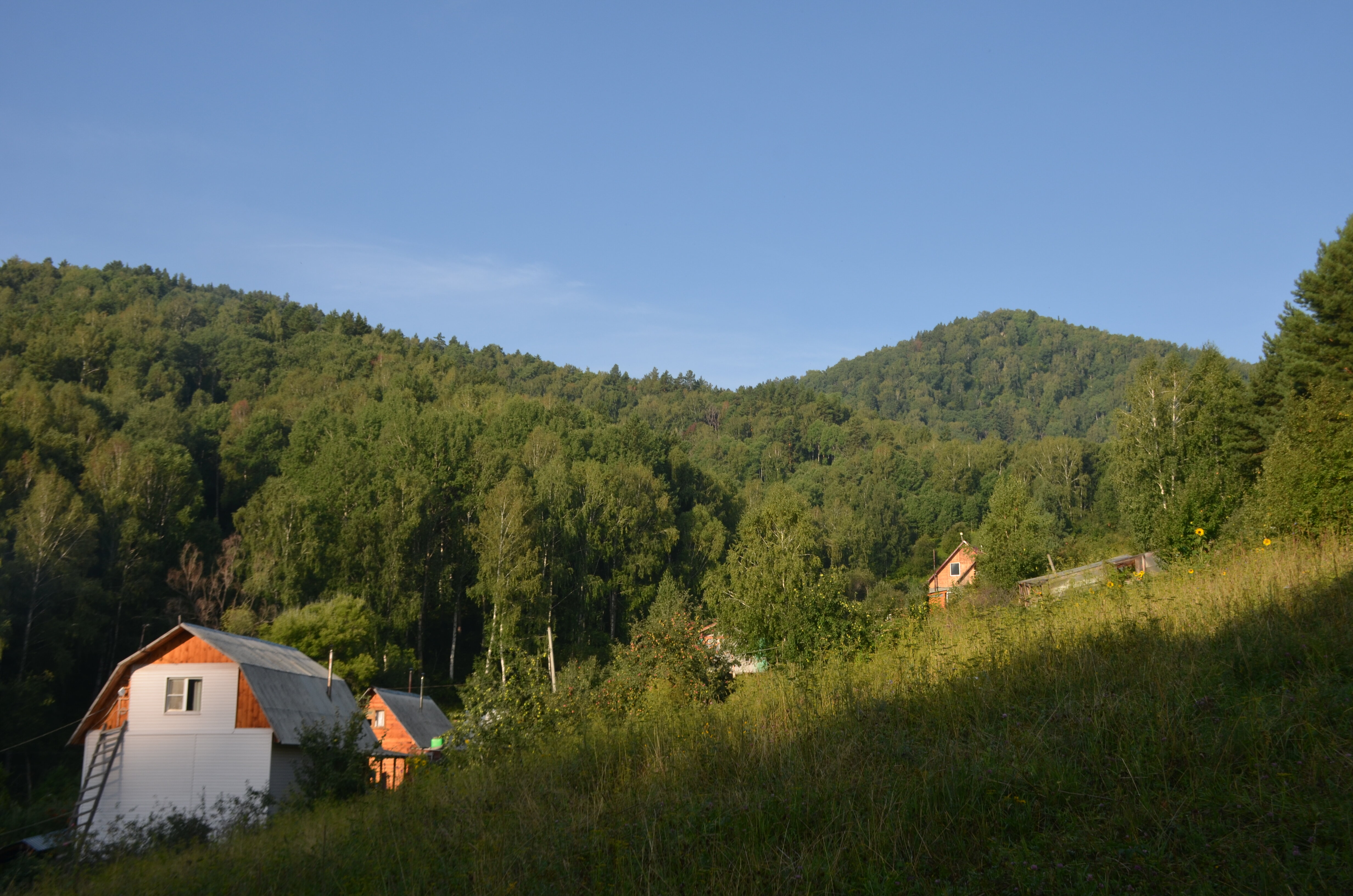 Фото Тихий Лог